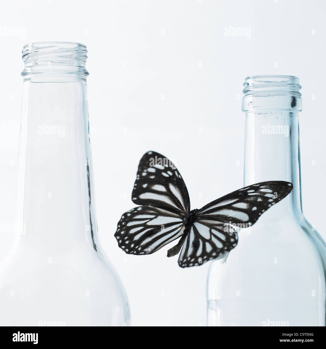 Una farfalla con le bottiglie di vetro Foto Stock