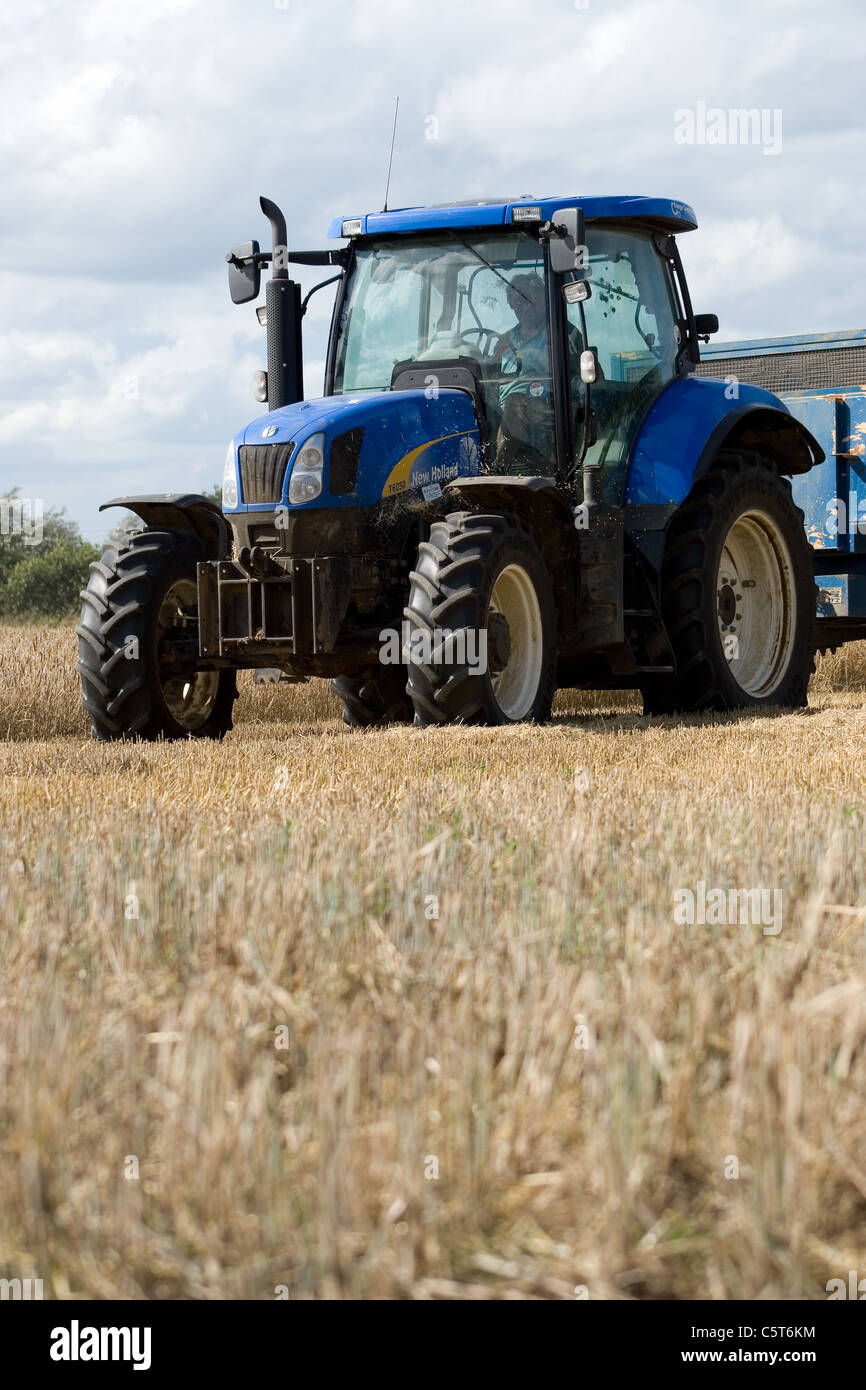 New Holland T6050 il trattore durante la mietitura del grano. Visto permanente sulla stoppia in un campo di grano in NORFOLK REGNO UNITO. Foto Stock