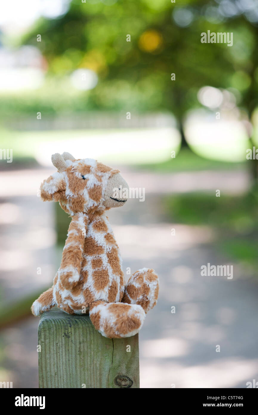 Childs giraffa peluche seduto su un cancello posto in un giardino inglese Foto Stock