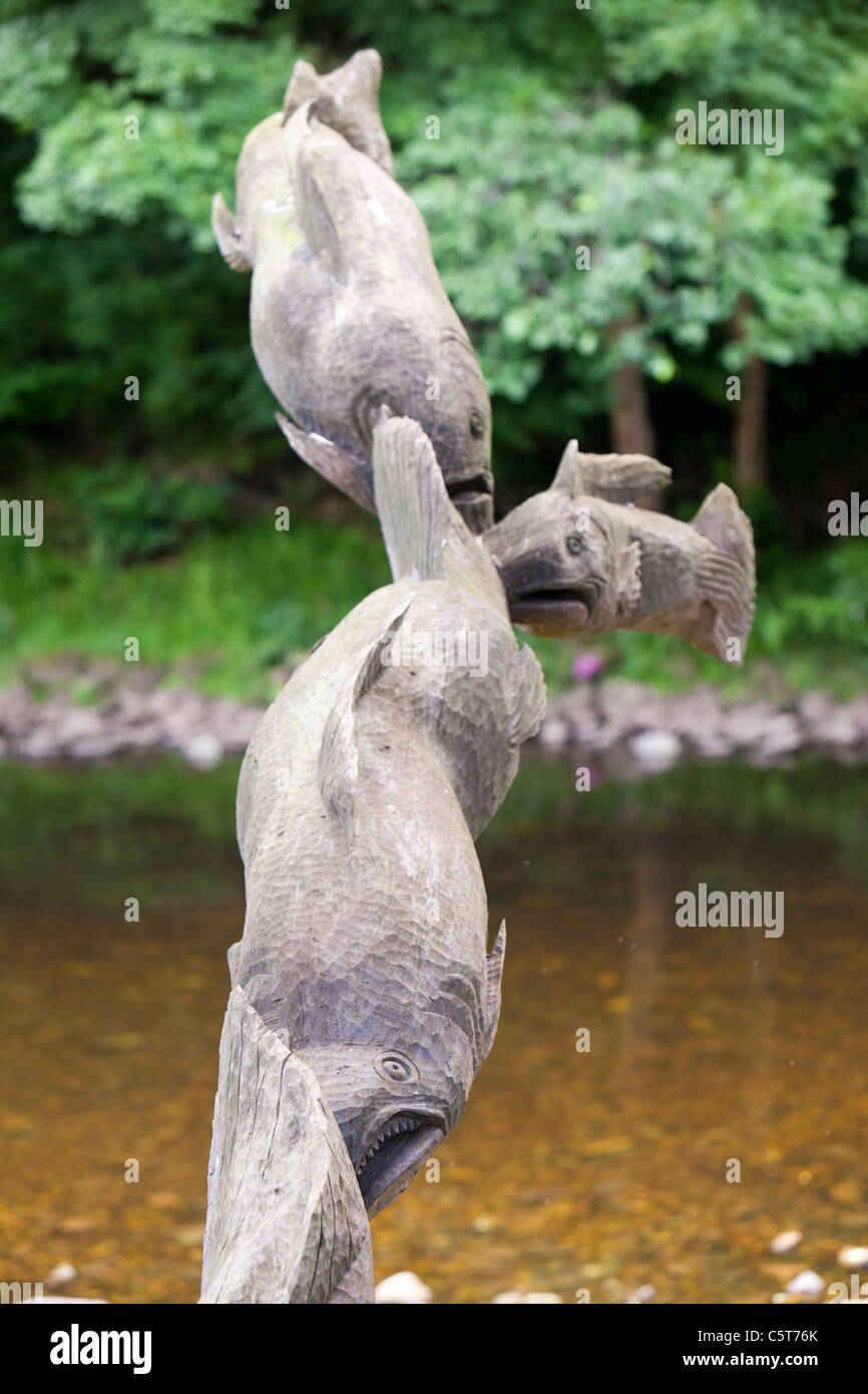 Una scultura di un salmone bracconiere scolpito in una struttura ad albero la Bowland Wild Boar Park Bowland vicino a Chipping in Lancashire, Regno Unito. Foto Stock