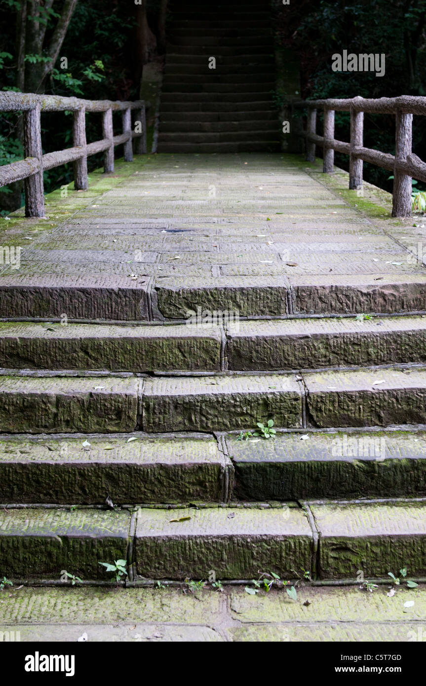 Fasi di Zhangjiajie National Park Foto Stock