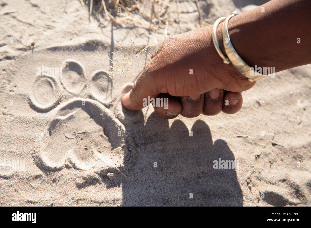 Africa, Botswana, Okavango Delta, uomo puntando su animale foot print Foto Stock