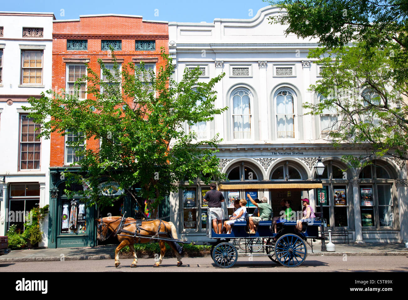Carrozza a cavallo tour del vecchio Charleston, Carolina del Sud Foto Stock