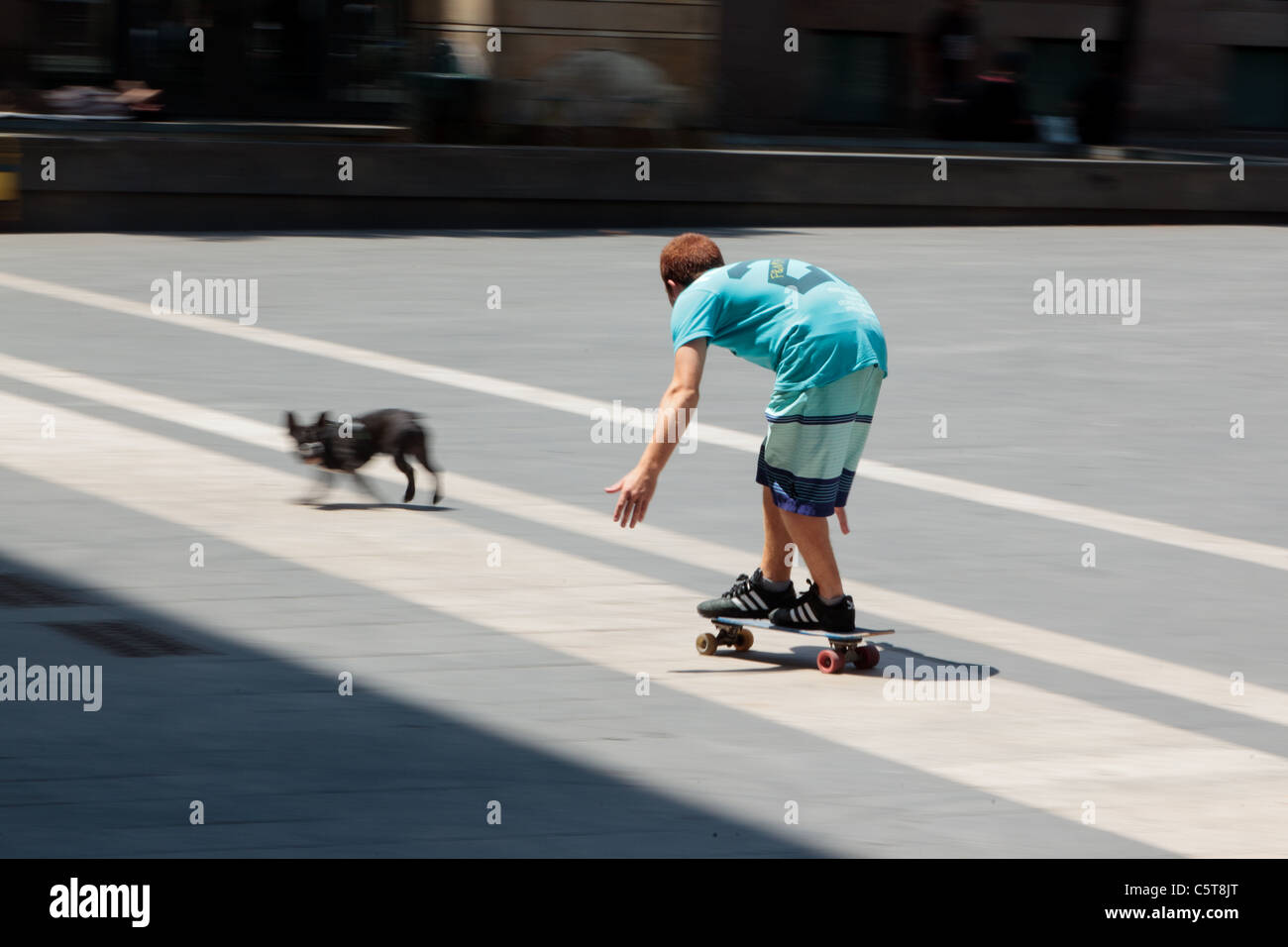 Ragazzo su skateboard e cane. Foto Stock