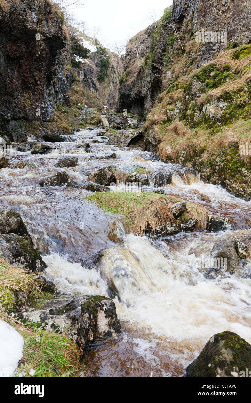 Il Troller Gill Trollerdale Yorkshire Dales England Regno Unito Foto Stock