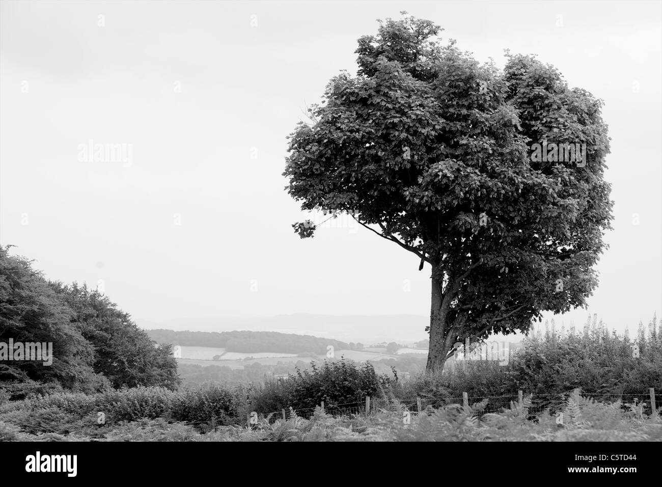 Struttura sorprendente che si affaccia sulla campagna Herefordshire da Offa's Dyke path. Foto Stock