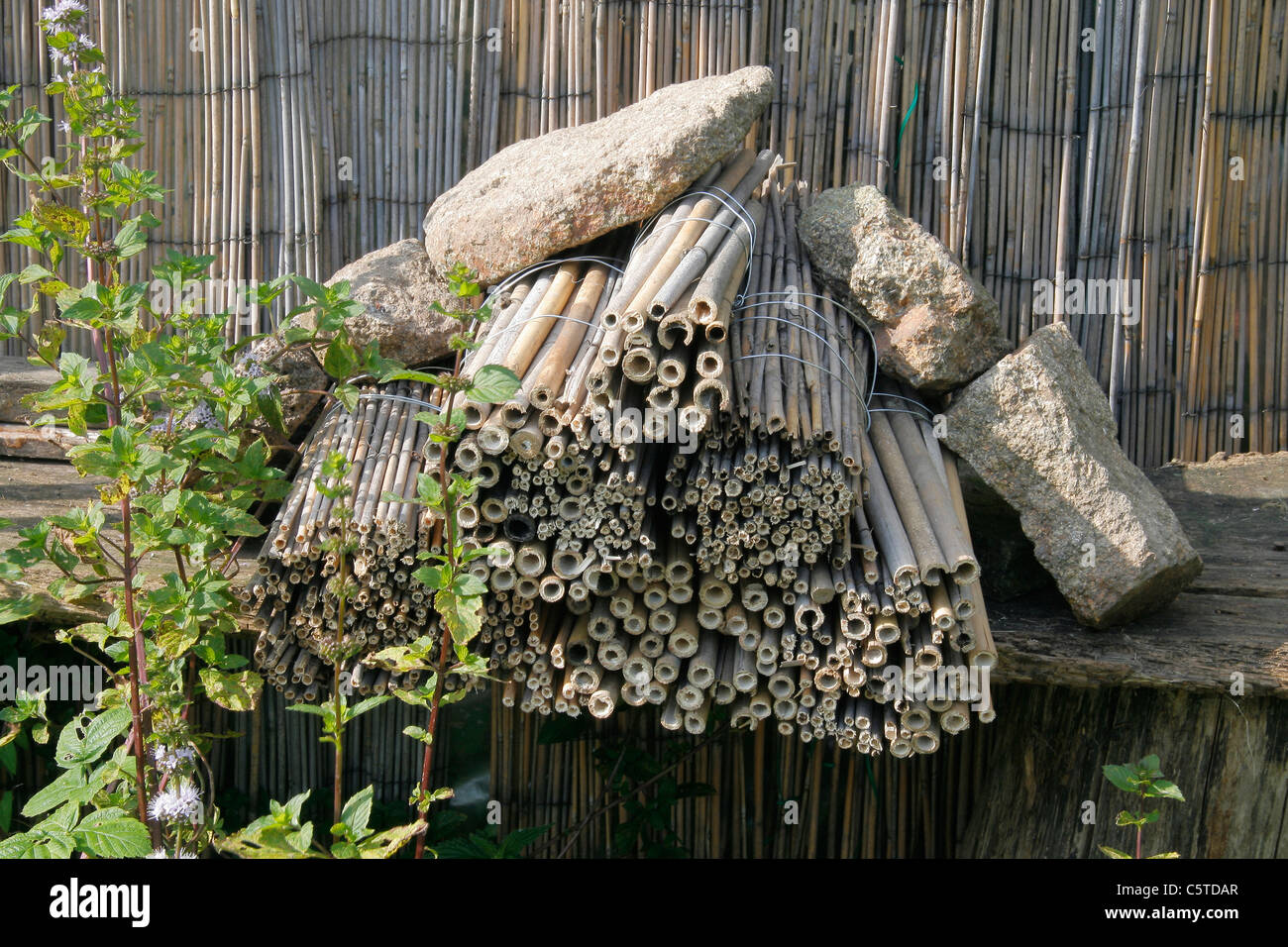 Arrotino manuale per gli insetti fatti di bambù ​​from, artificiali scatola di nido di api selvatiche e altri insetti, api selvatiche-scatole di nido, nido di insetto Foto Stock