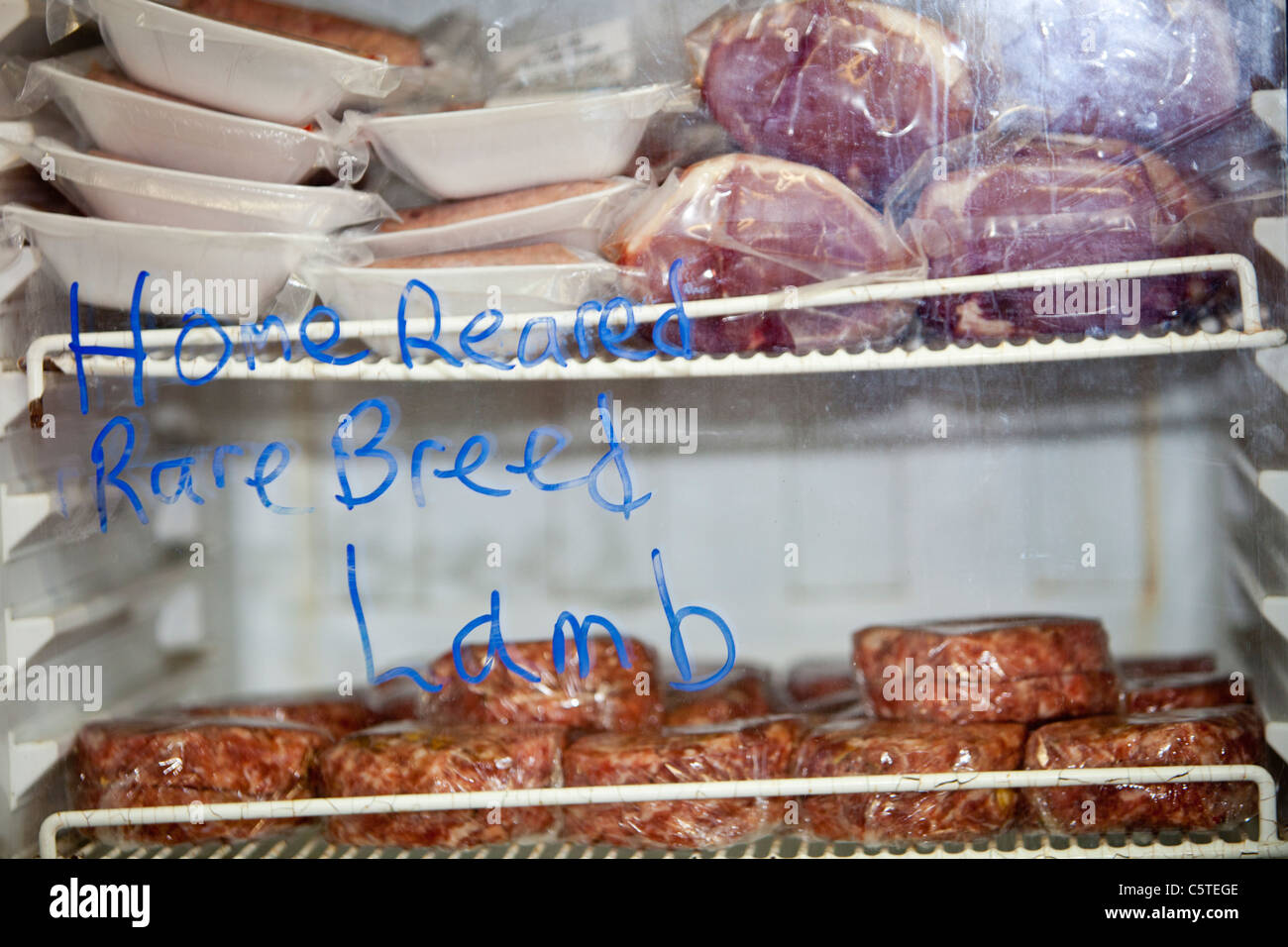 La carne di cinghiale alla Bowland Wild boar park nel trogolo di Bowland vicino a Chipping, Lancashire, Regno Unito Foto Stock