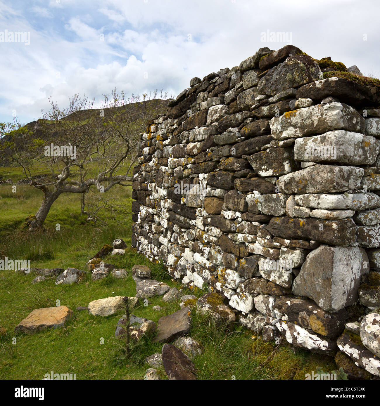 Ha rovinato il vecchio croft parete edilizia, Boreraig, Isola di Skye, Scotland, Regno Unito Foto Stock