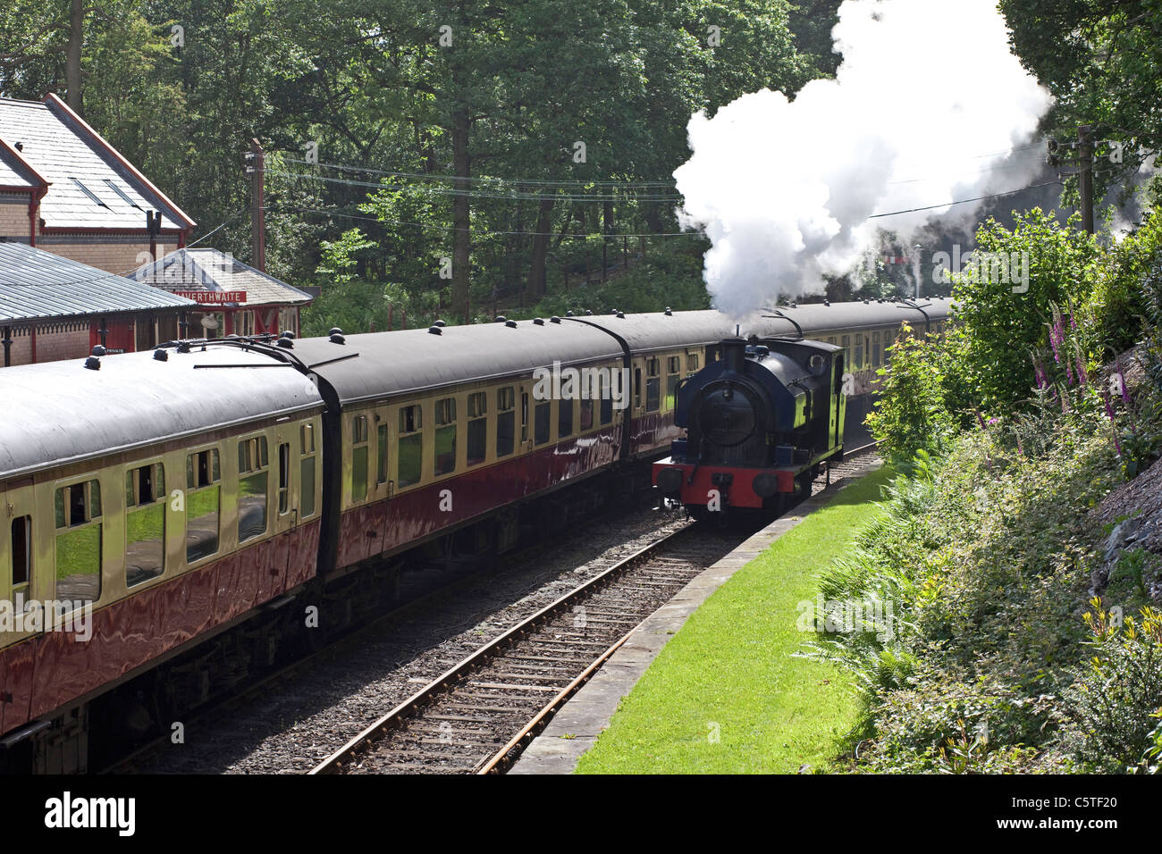 Treno a vapore e carrelli a Lakeside & Haverthwaite ferroviarie, Nr Ulverston, Cumbria. Foto Stock
