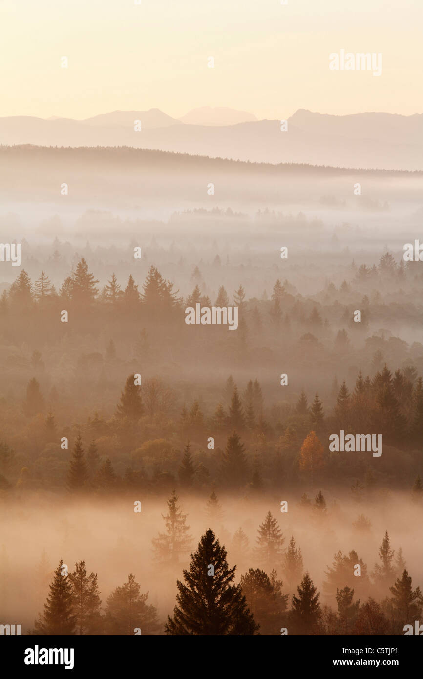 In Germania, in Baviera, Baviera superiore, vista di pupplinger au vicino a wolfratshausen in mattinata Foto Stock