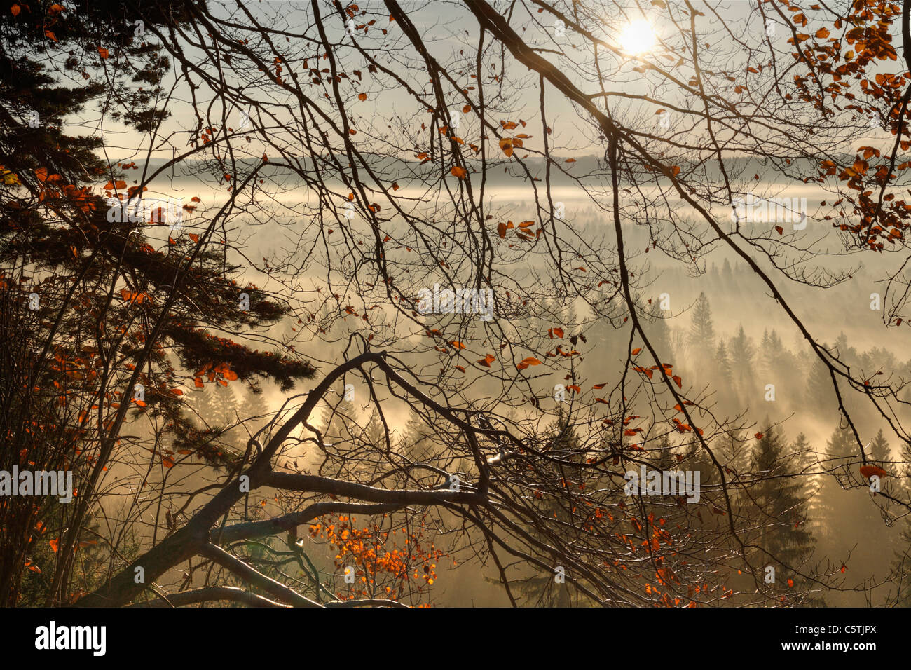 In Germania, in Baviera, Baviera superiore, vista di pupplinger au vicino a wolfratshausen in mattinata Foto Stock