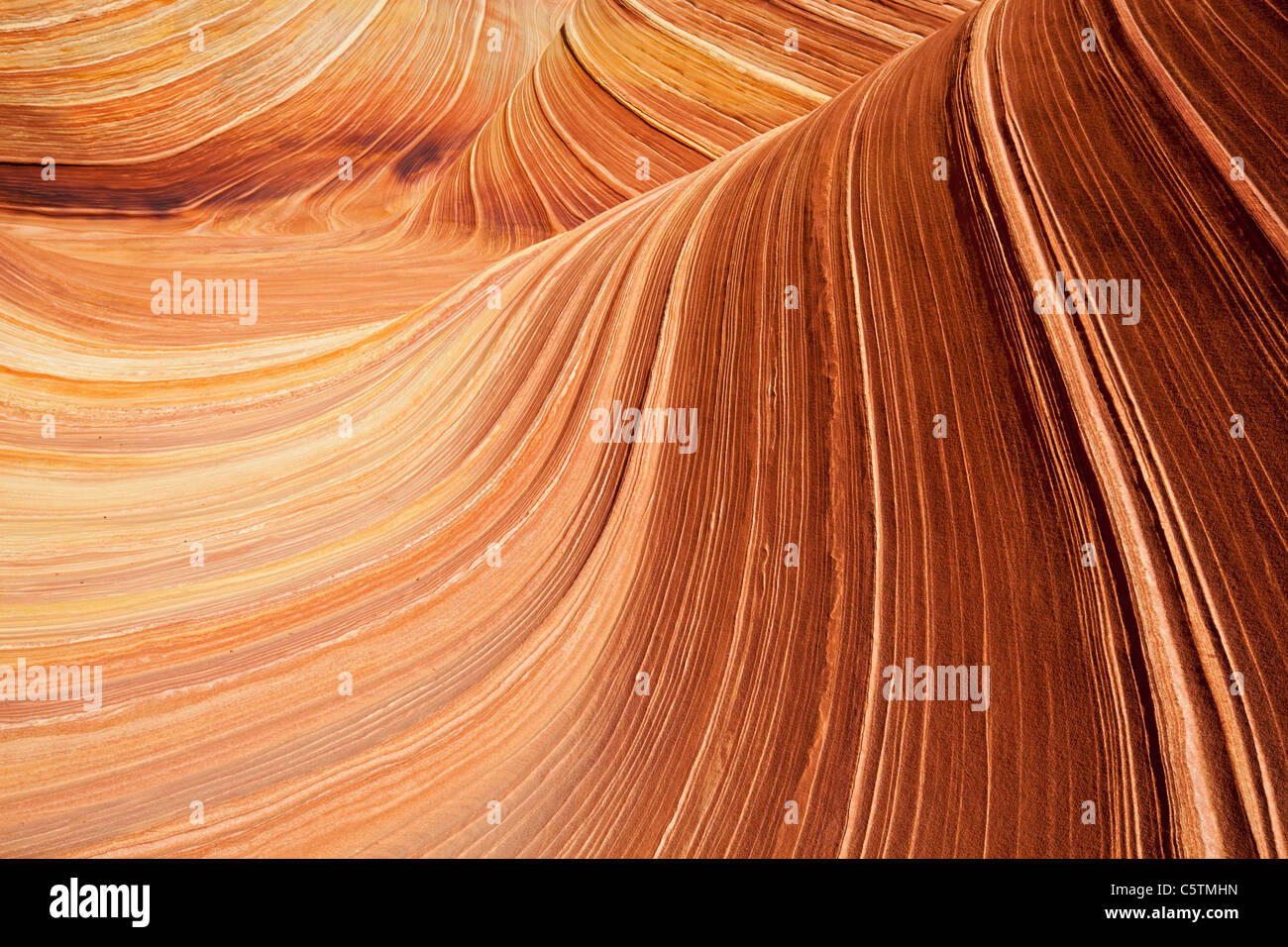 Stati Uniti d'America, Utah, Coyote Buttes, Wave Foto Stock