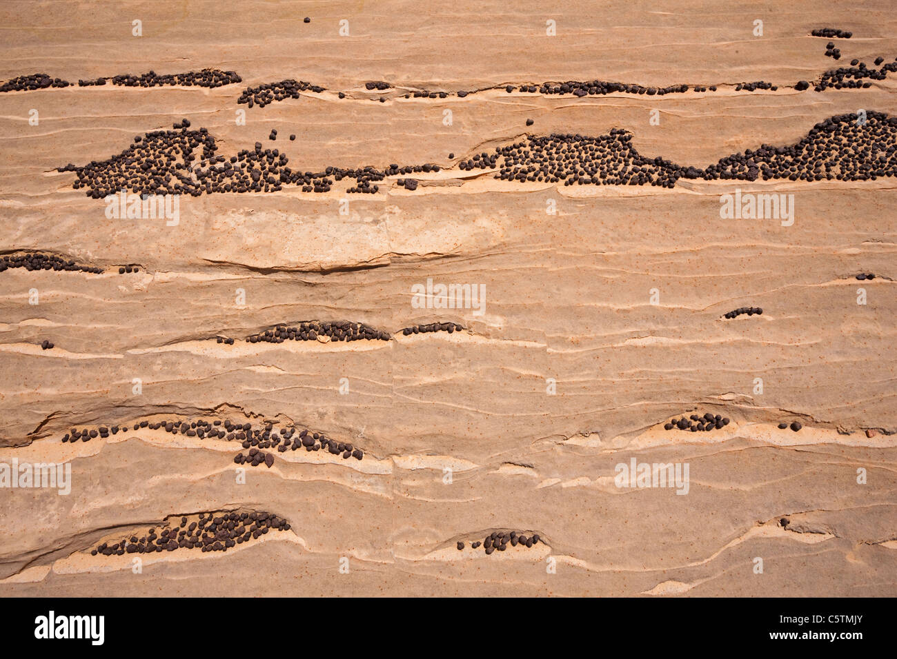 Stati Uniti d'America, Utah, North Coyote Buttes, piccole pietre nere su pietra arenaria di grandi dimensioni Foto Stock