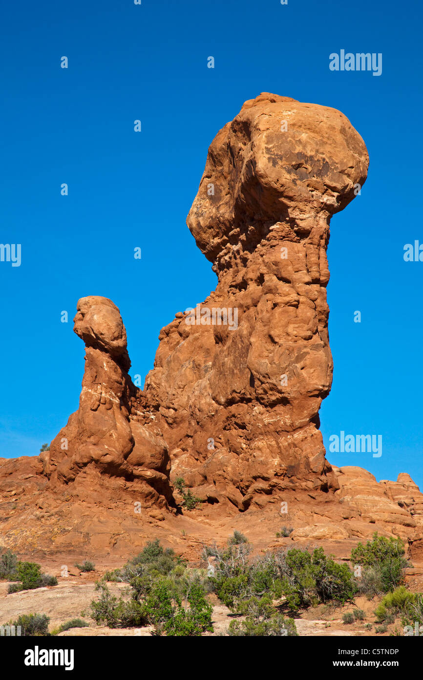 Stati Uniti d'America, Utah, Arches National Park, giardino di Eden Rock formazione Foto Stock
