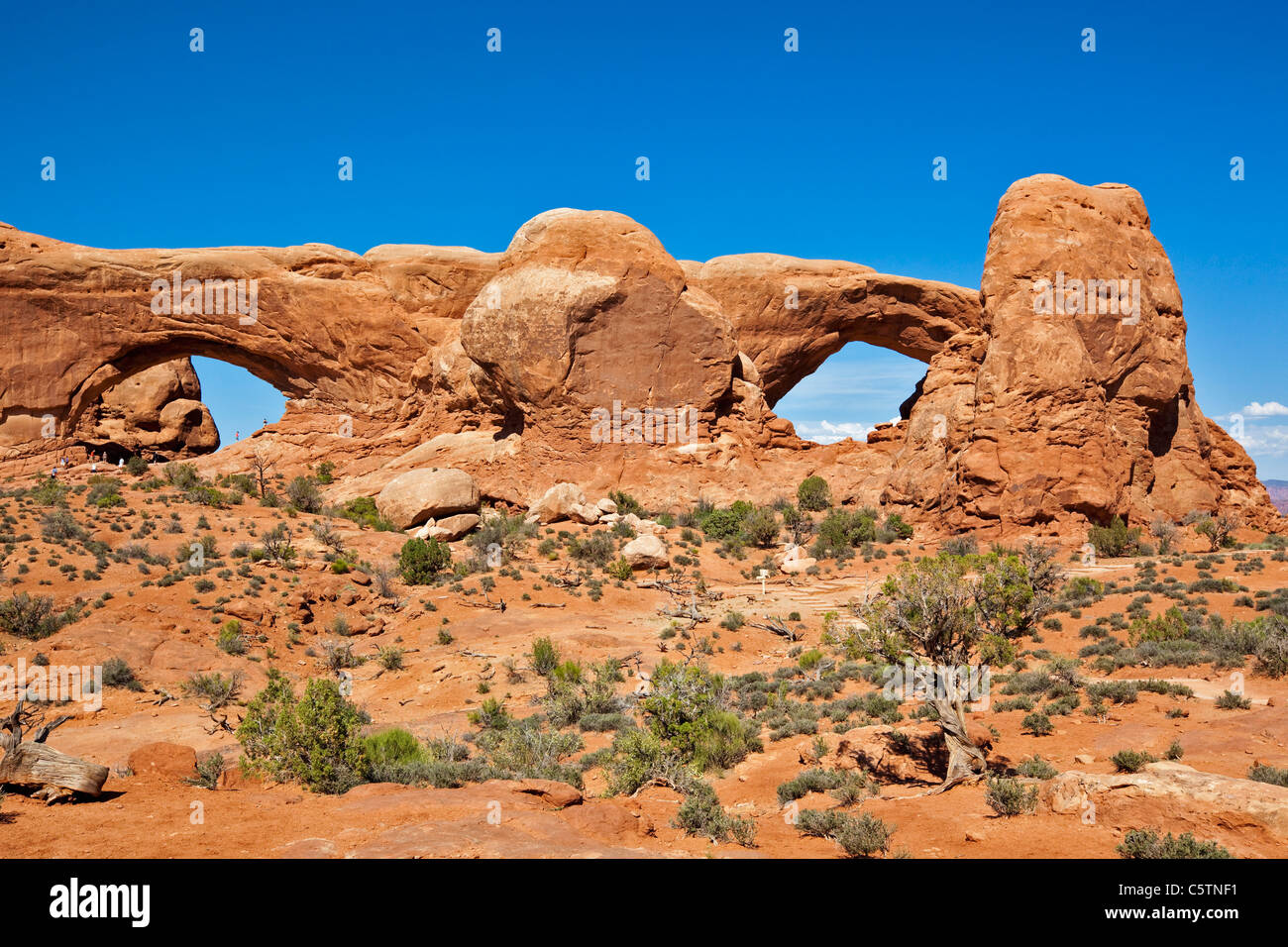 Stati Uniti d'America, Utah, Arches National Park, Windows sezione, a nord e a sud di Windows Foto Stock