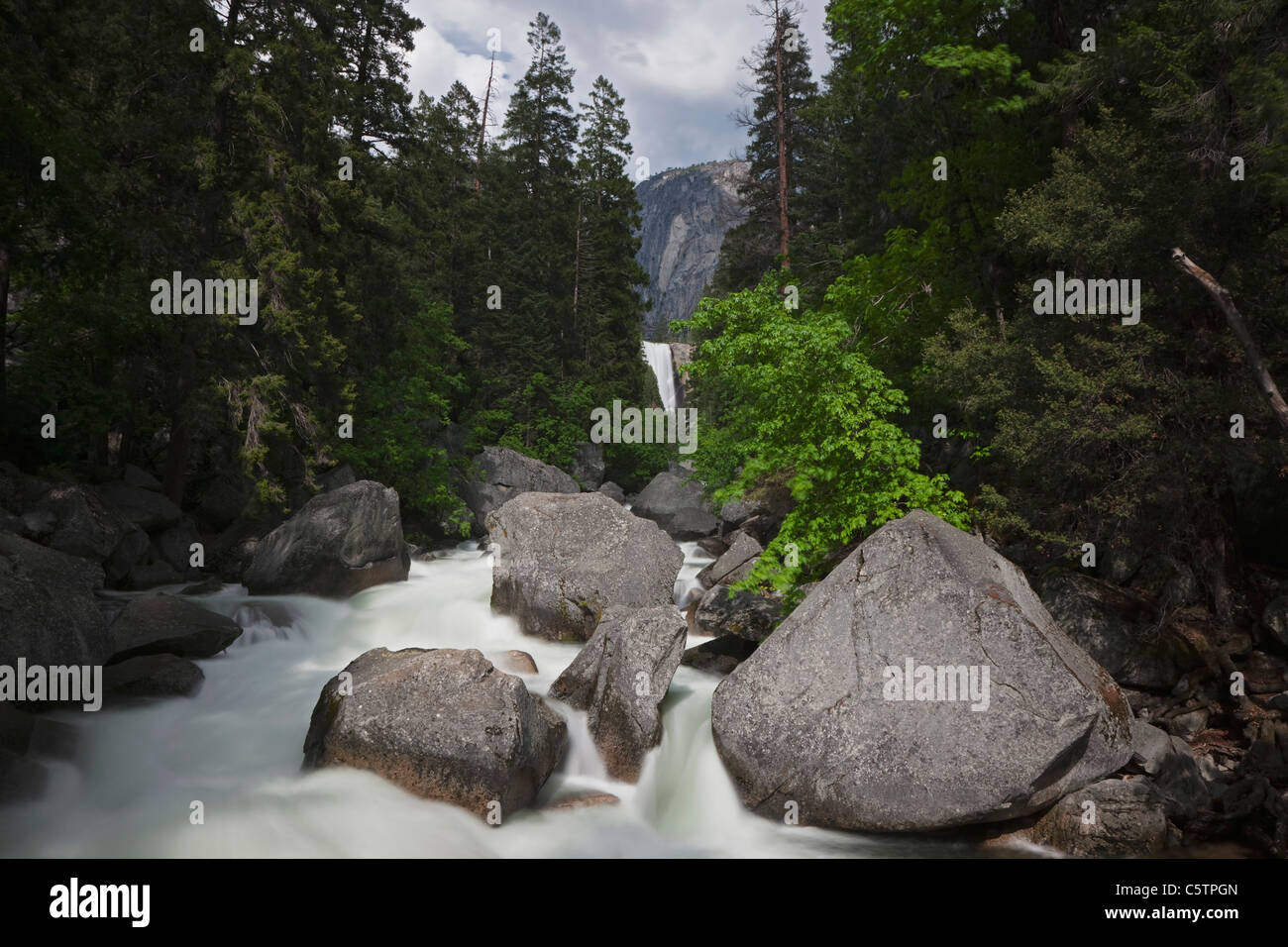 Stati Uniti d'America, in California, del Parco Nazionale Yosemite, caduta primaverile Foto Stock