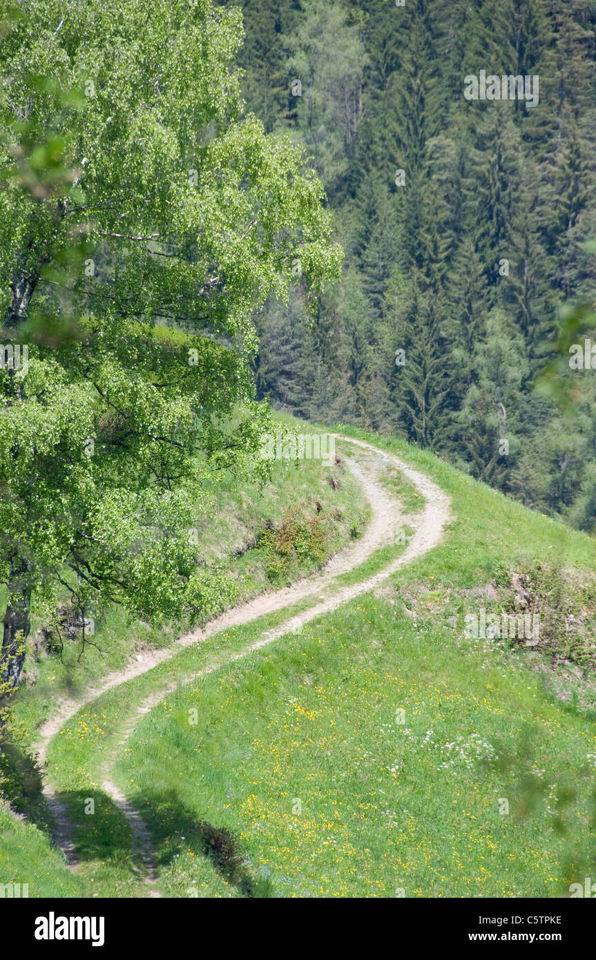 L'Italia, Alto Adige, Agriturismo via e boschi Foto Stock