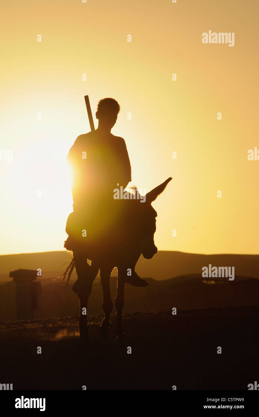 Egitto, uomo seduto su donkey al tramonto Foto Stock
