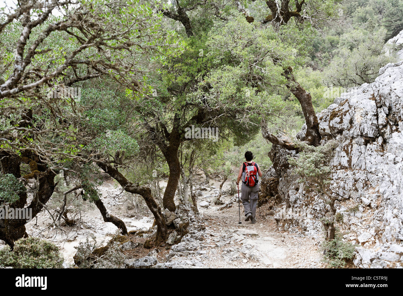 La Grecia, Creta, Monte Ida, Zaros, Rouvas Gorge, donna matura escursionismo vicino a gola Foto Stock