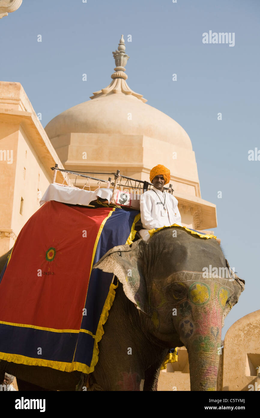 Un mahout guida i suoi elefanti a Forte Amber nella città di Jaipur, India in Rajasthan Foto Stock