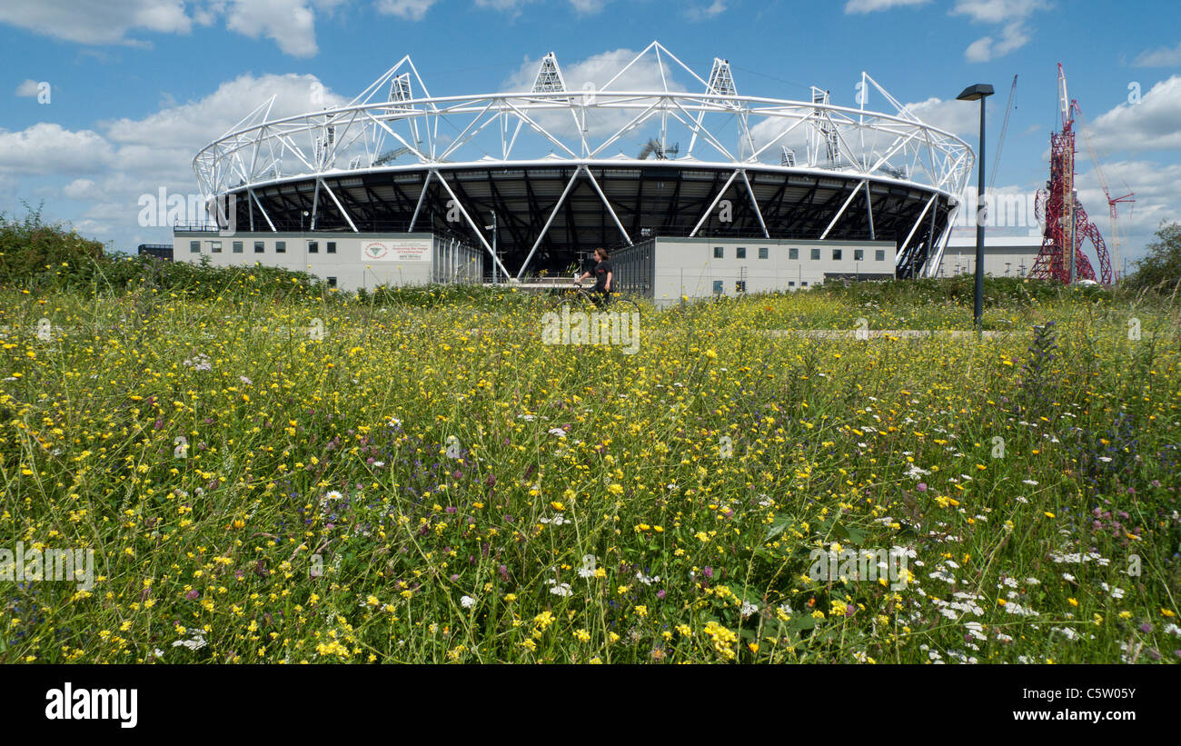 Una persona giovane cyclng lungo la greenway Nigel Dunnet giardino prato allo Stadio Olimpico rinominato Queen Elizabeth Park, Londra Inghilterra KATHY DEWITT Foto Stock