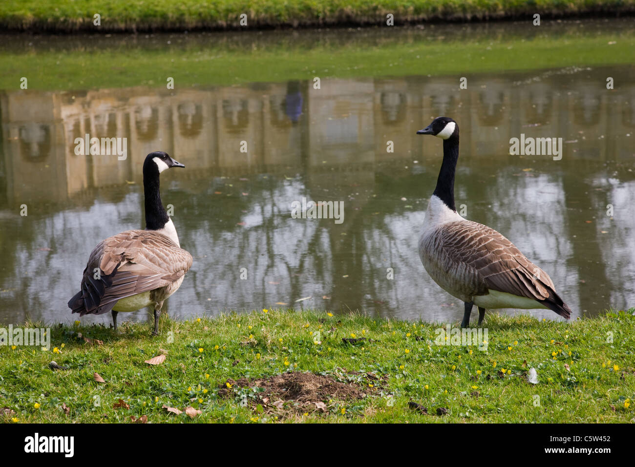 Il Tempio di British dignitari riflessa nel lago a Stowe giardini paesaggistici, Buckinghamshire Foto Stock