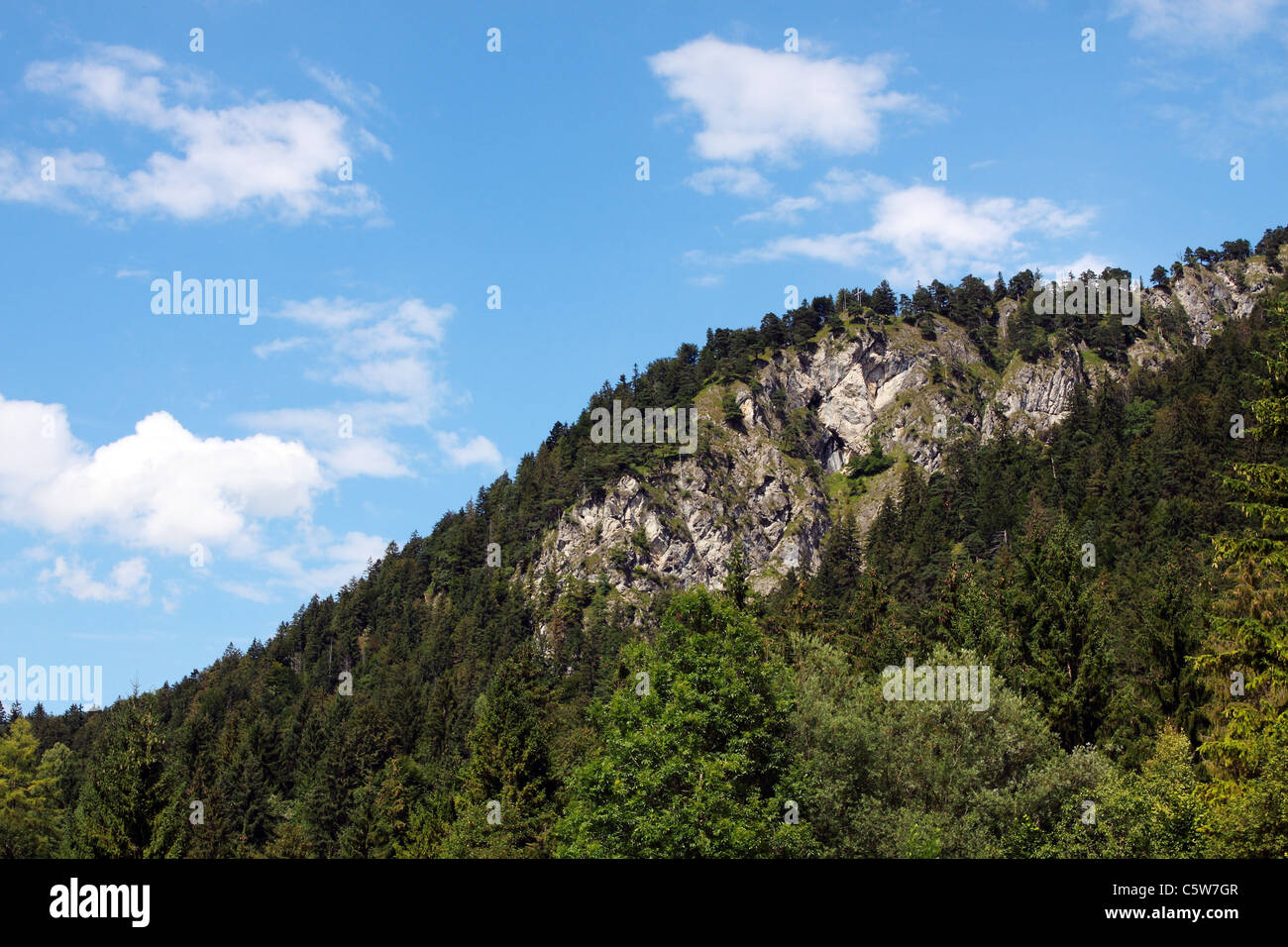 Montagna coperta con la foresta e il cielo blu Foto Stock