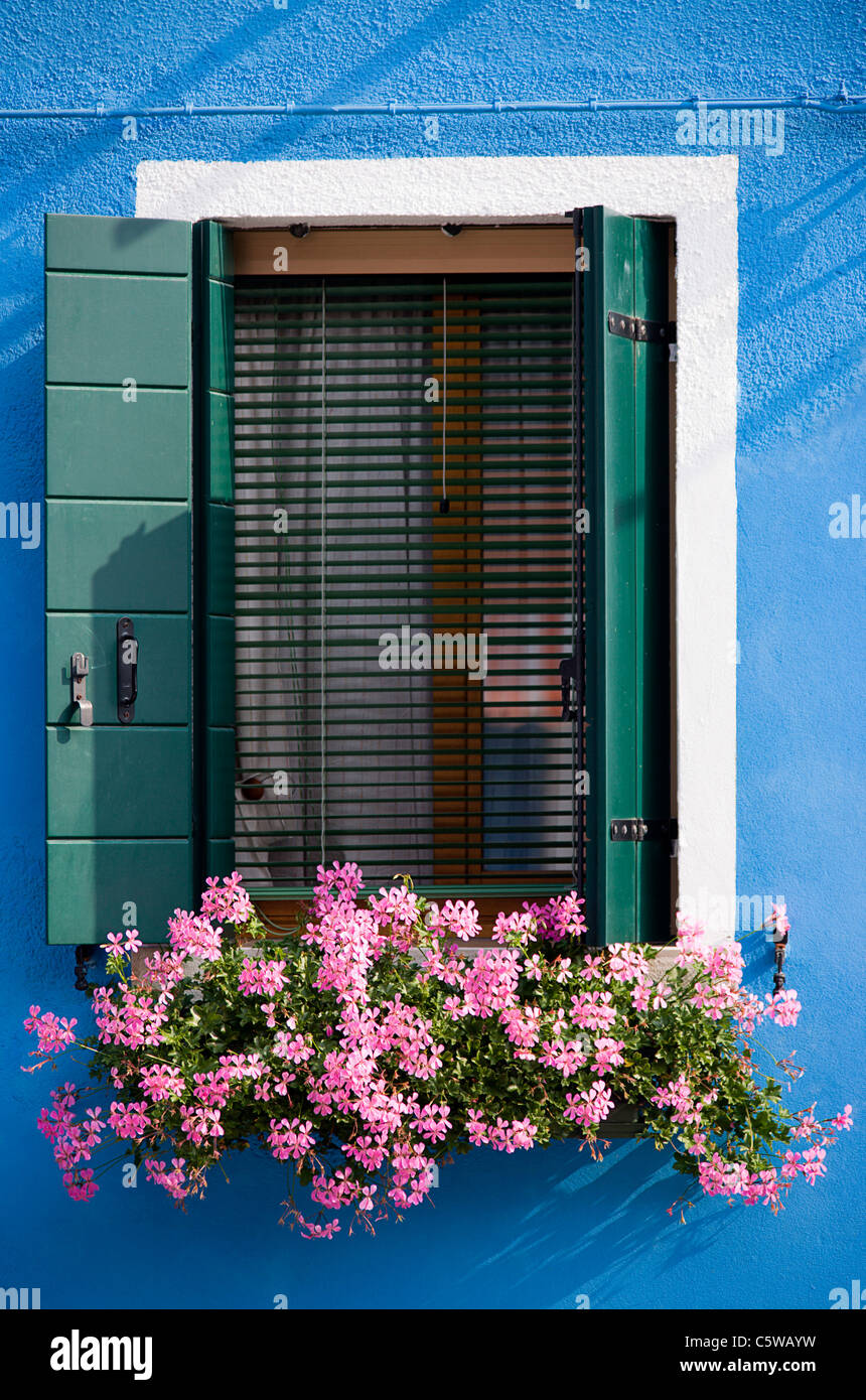 L'Italia, Venezia e Burano, finestra fioriera con fiori di geranio Foto Stock