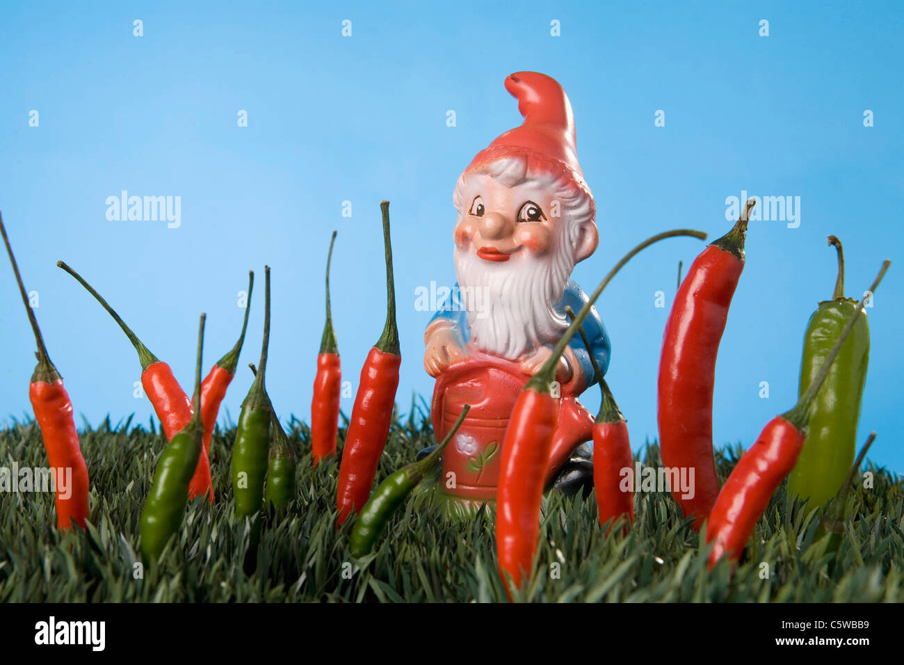 Gnomo da giardino, peperoncino sul prato Foto Stock