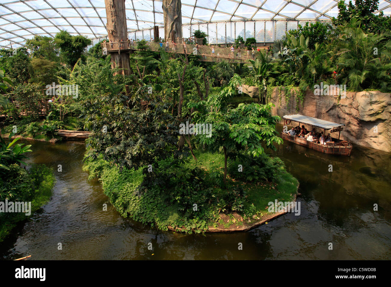 Interno del Gondwanaland enorme foresta pluviale tropicale's hall a Lipsia il giardino zoologico o Zoo di Lipsia Germania orientale Foto Stock