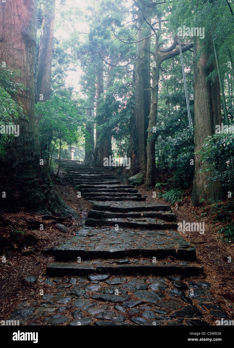 Kumano Kodo, Nachikatsuura, Higashimuro, Wakayama, Giappone Foto Stock