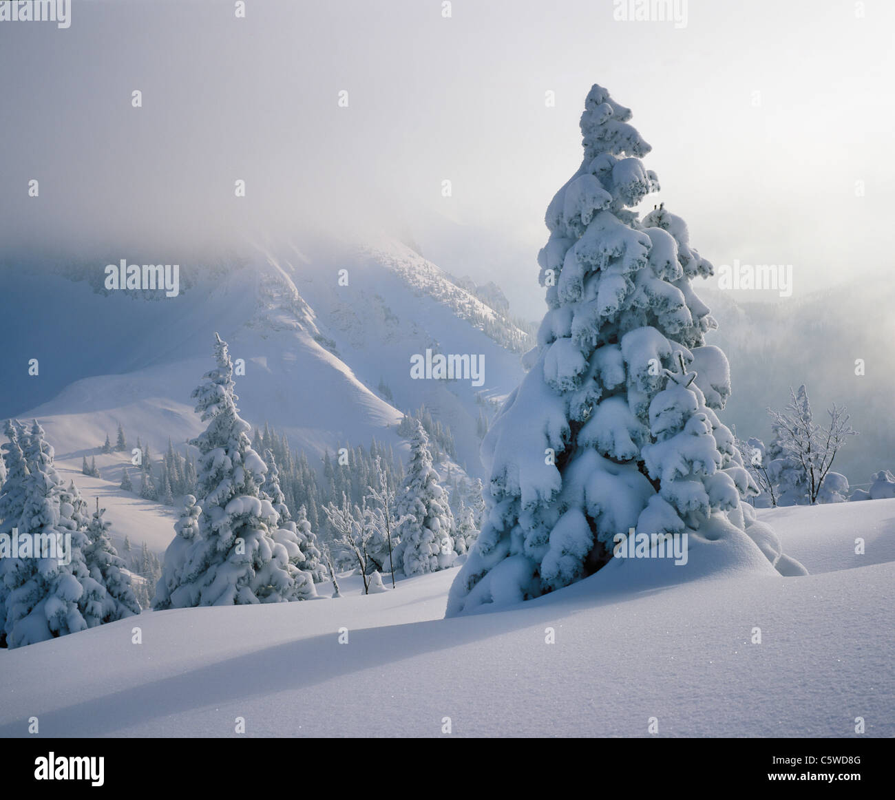 In Germania, il Land della Baviera e della Svevia, Allgaeu, coperta di neve breitenberg mountain Foto Stock