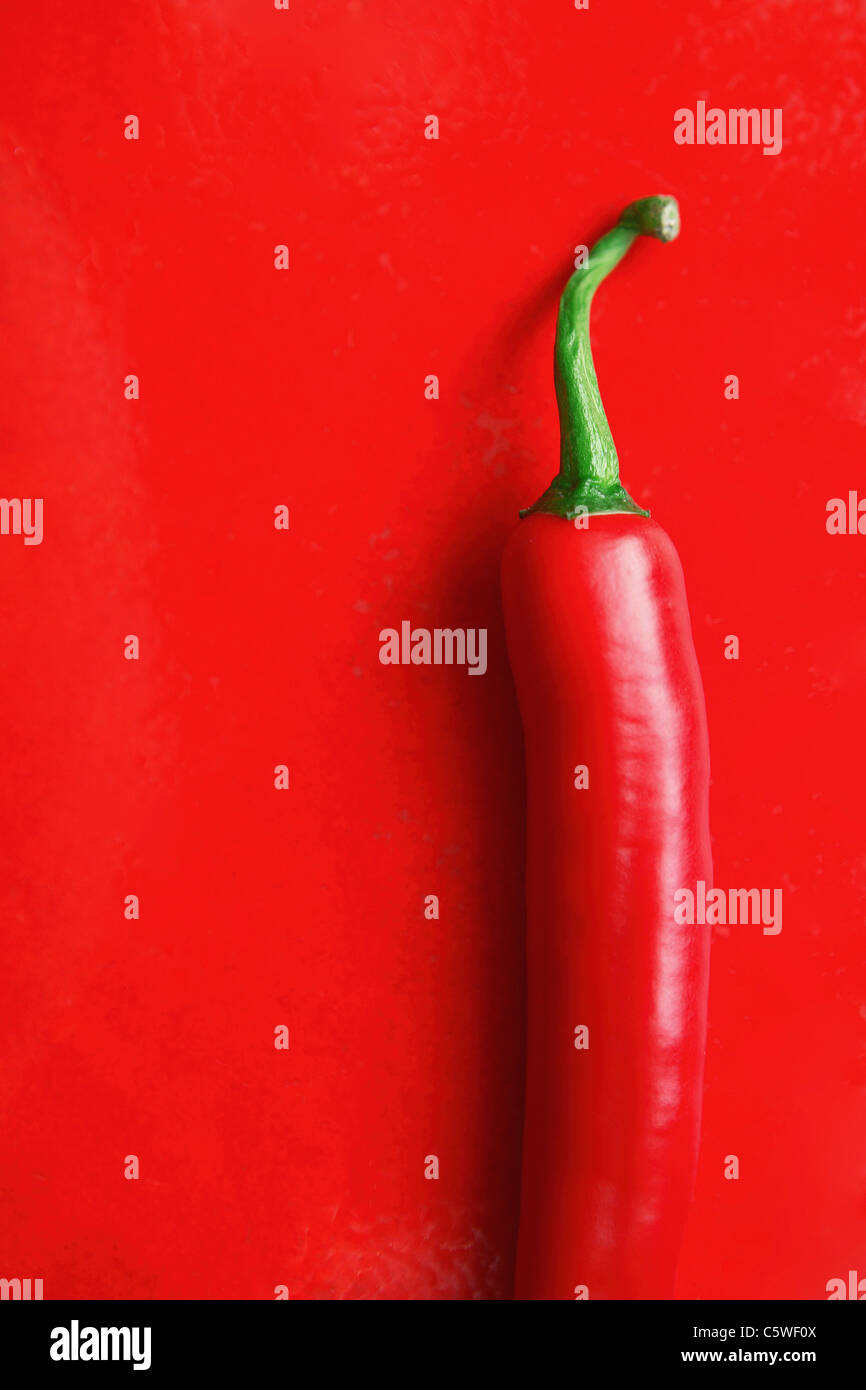 Pod di peperoncino rosso sulla piastrella, vista in elevazione Foto Stock