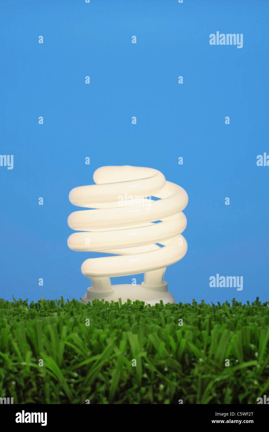 Lampada a risparmio energetico e di erba verde contro sfondo blu Foto Stock
