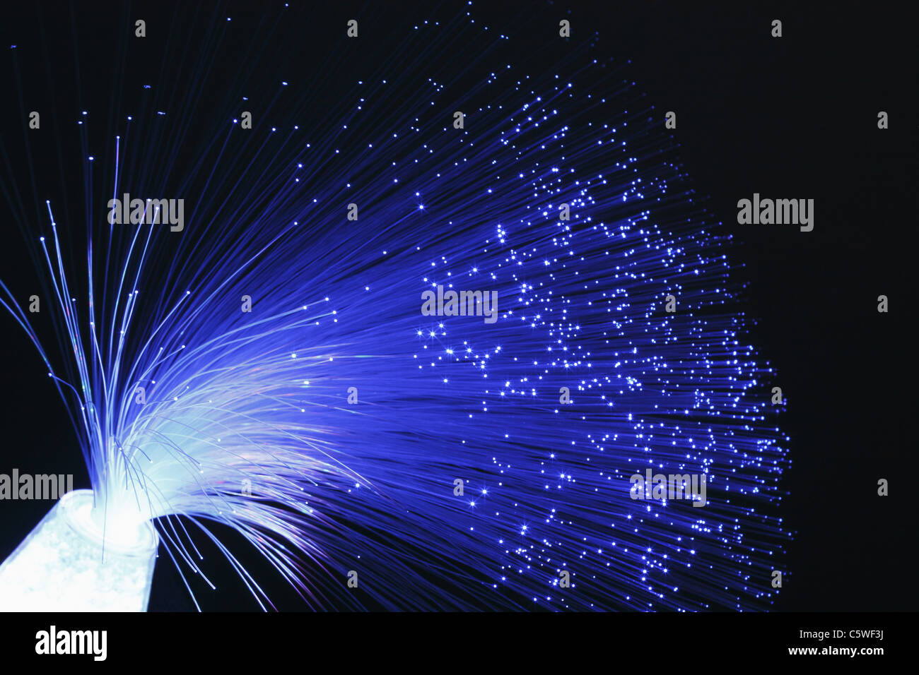 Fibra blu lampada luce su sfondo nero Foto Stock