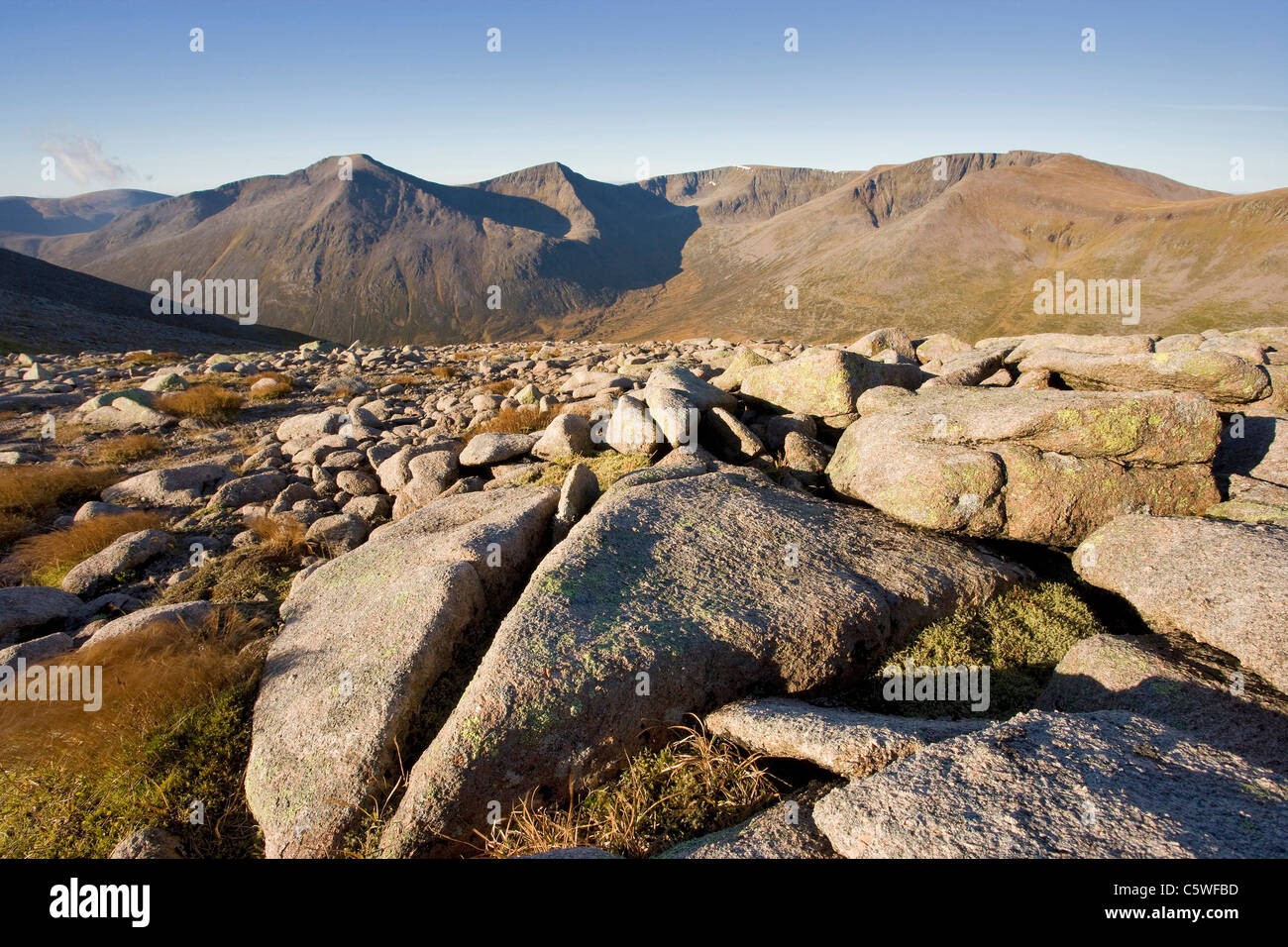 Vista di Cairn Toul (sinistra), l'angelo del picco (a sinistra del centro) e Braeriach (a destra), Grampian Mountains, Cairngorms National Park Foto Stock