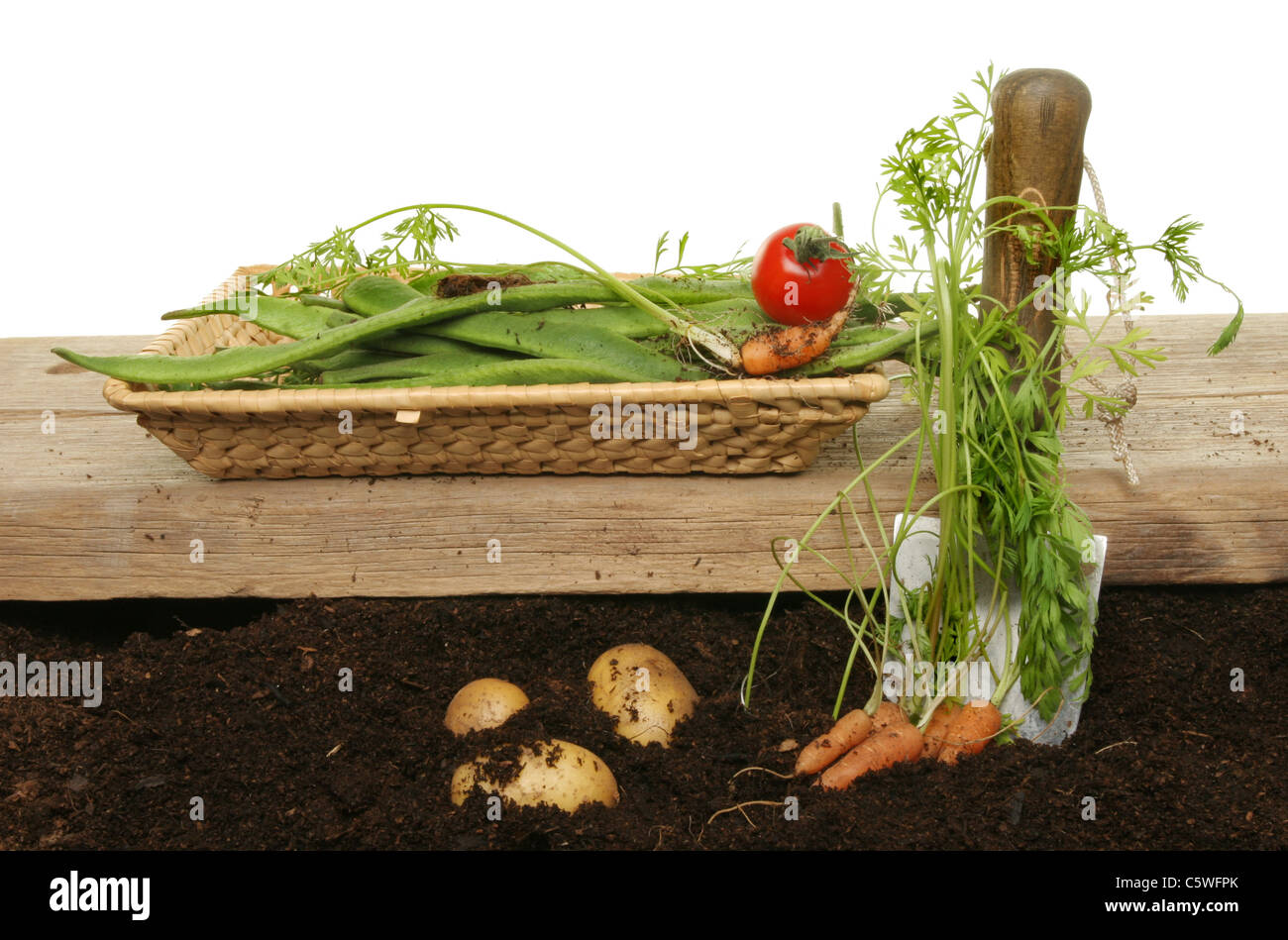 La mietitura homegrown food,verdure in un cesto e giacente sul terreno con una tavola di legno e giardino cazzuola Foto Stock