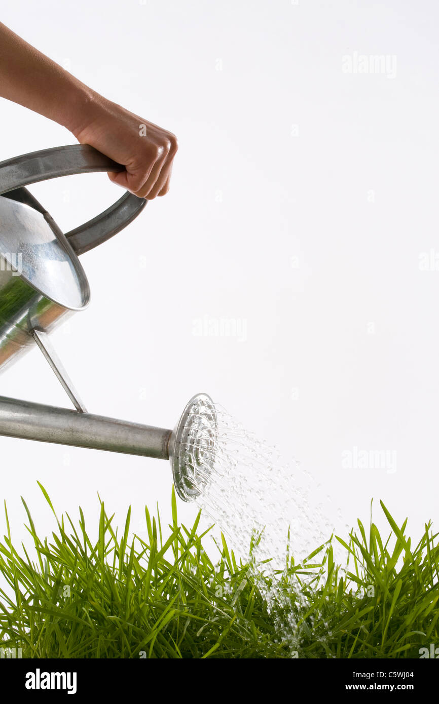 Germania, Baden-WÃ¼rttemberg, Stoccarda, persona utilizzando Annaffiatoio Foto Stock