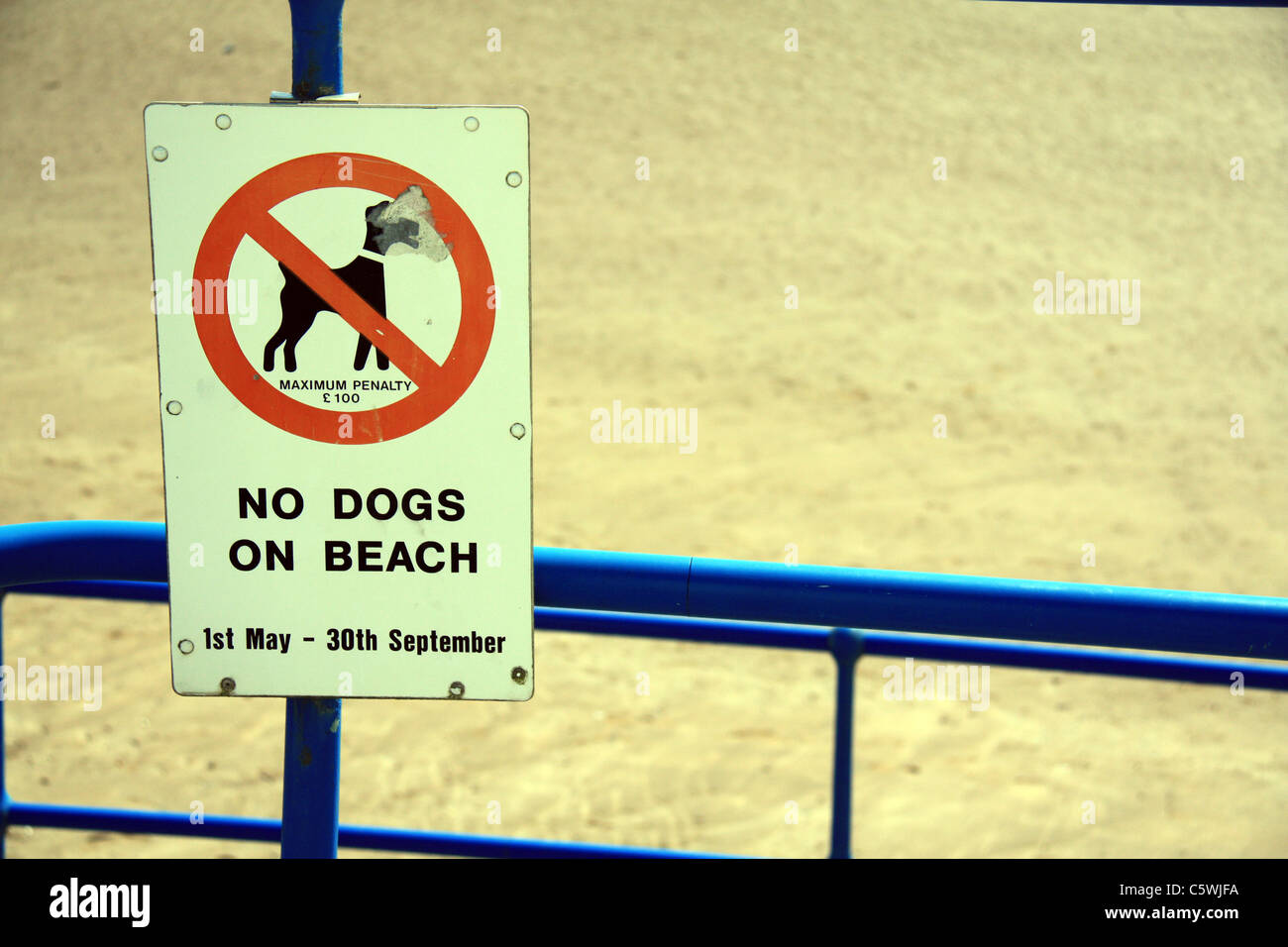 Un segno per dire no cani sulla spiaggia Foto Stock