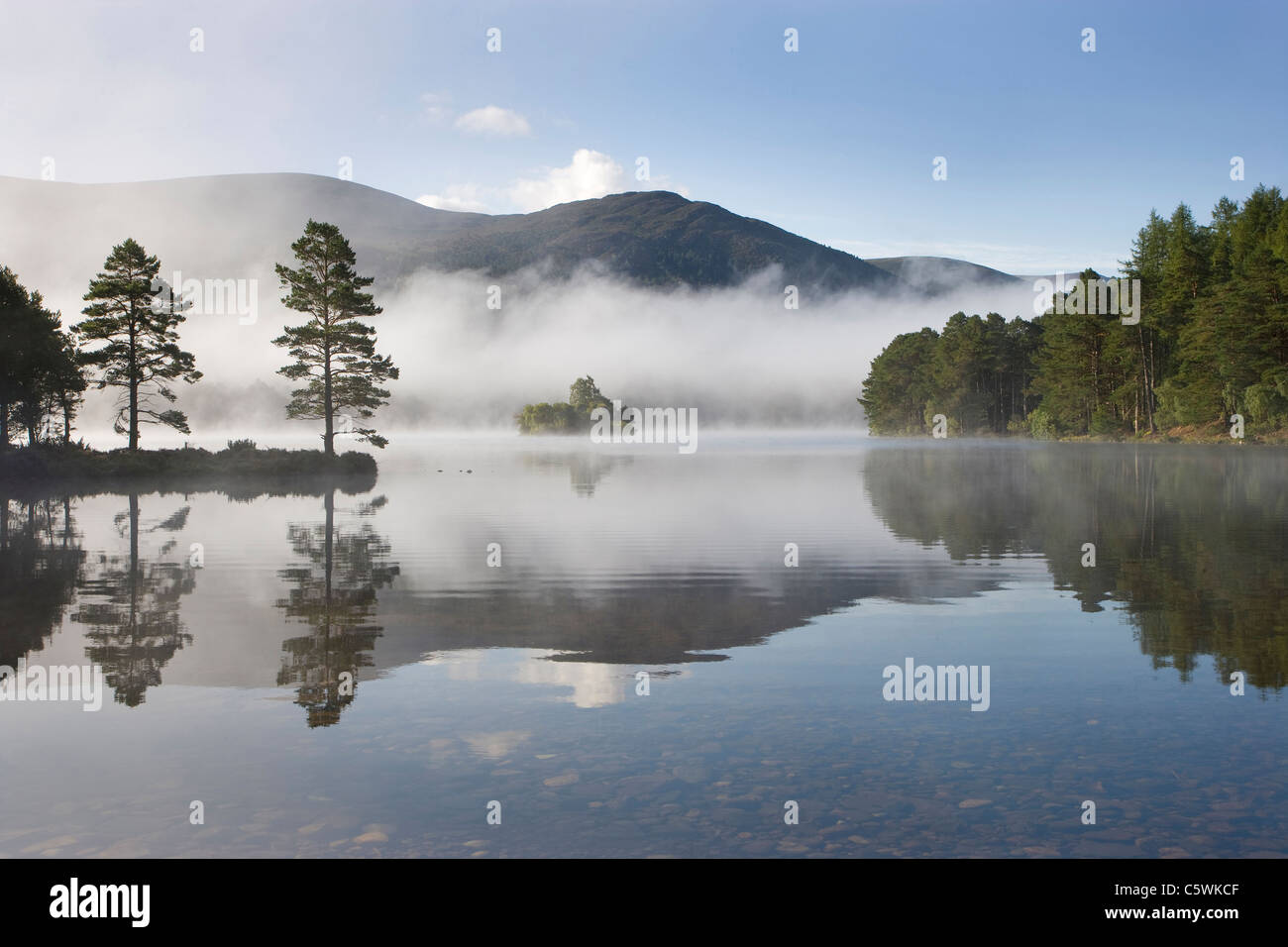 Mattina a Loch un Eilien, Rothiemurchus foresta, Cairngorms National Park, Scozia, Gran Bretagna. Foto Stock
