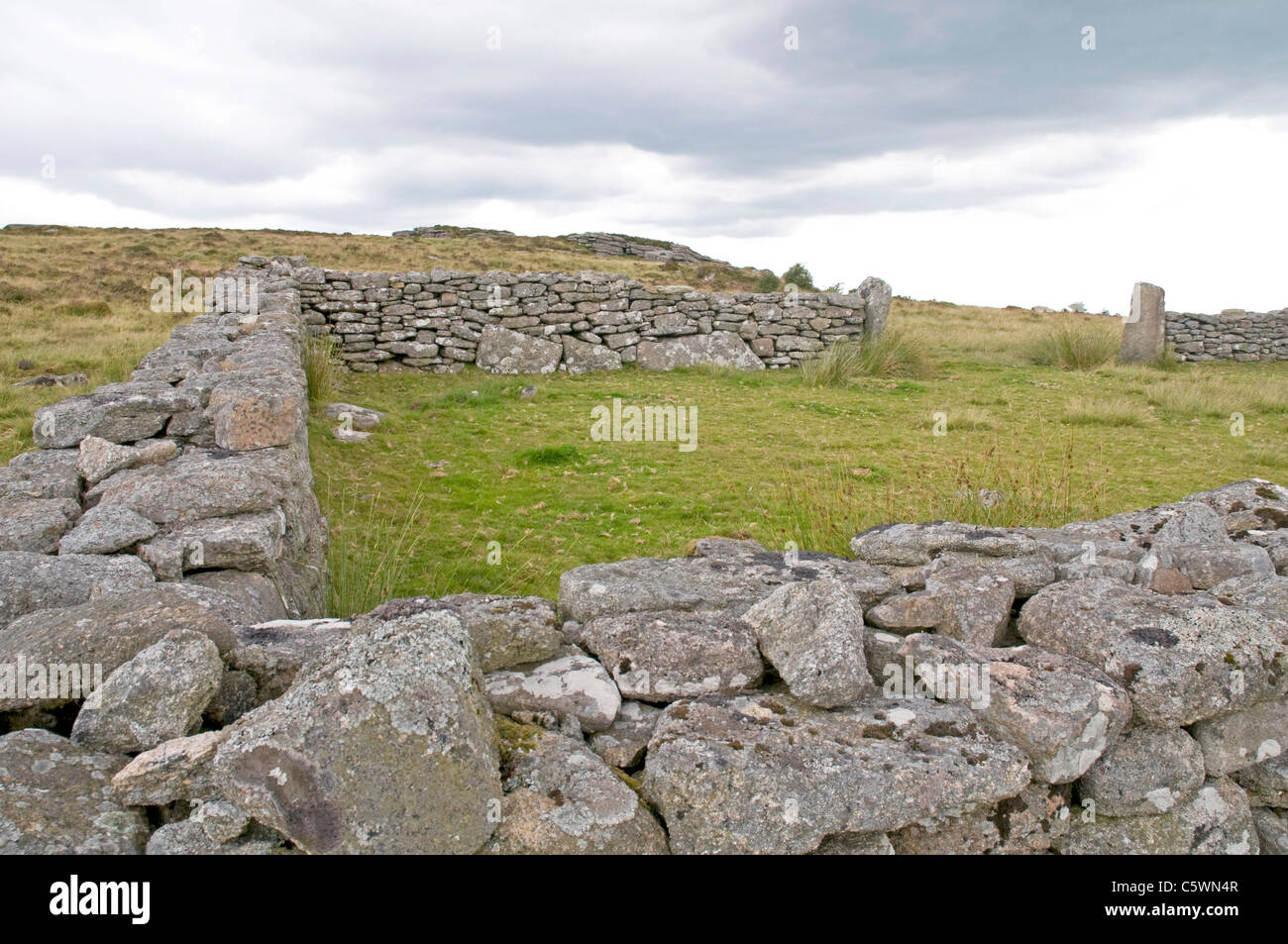 Il vecchio contenitore in prossimità di risate Tor, Dartmoor, vicino Dartmeet Foto Stock