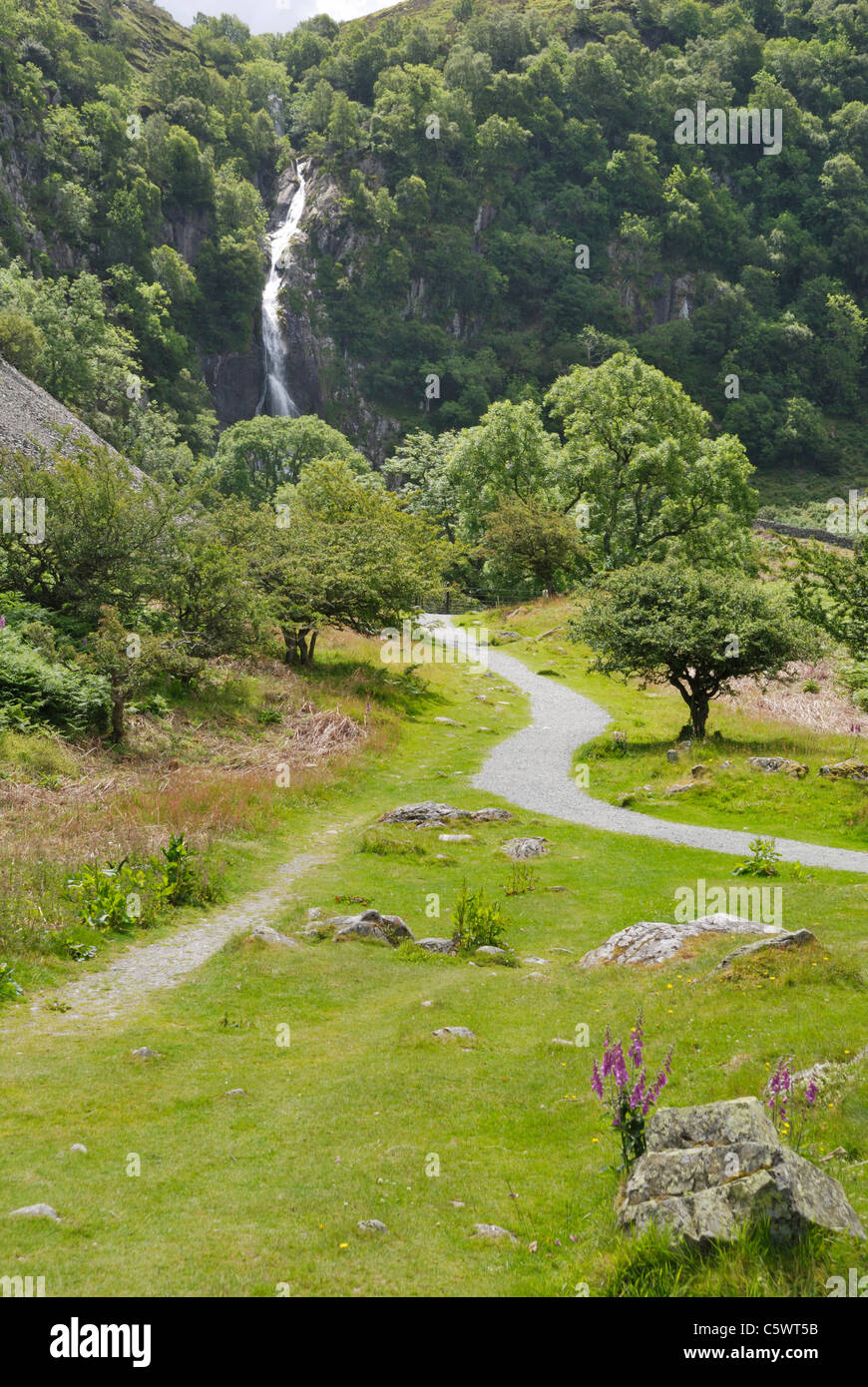 Aber Falls, Coedydd Aber Riserva Naturale Nazionale, il Galles del Nord Foto Stock