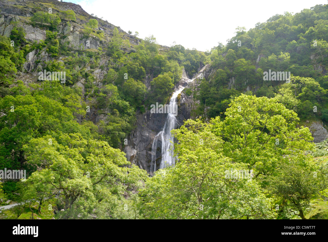 Aber Falls, Coedydd Aber Riserva Naturale Nazionale, il Galles del Nord Foto Stock