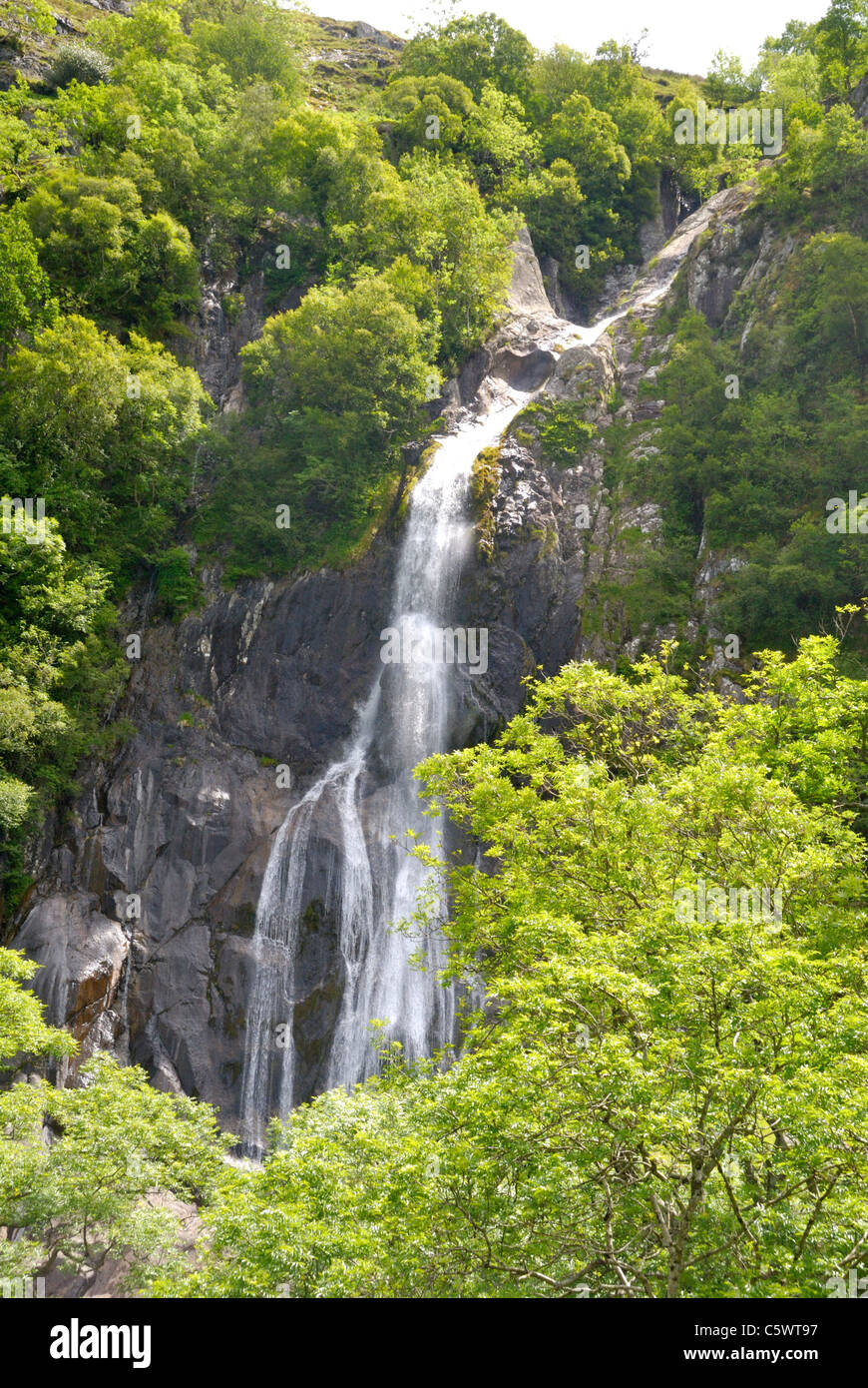 Aber Falls, Coedydd Aber Riserva Naturale Nazionale, il Galles del Nord Foto Stock
