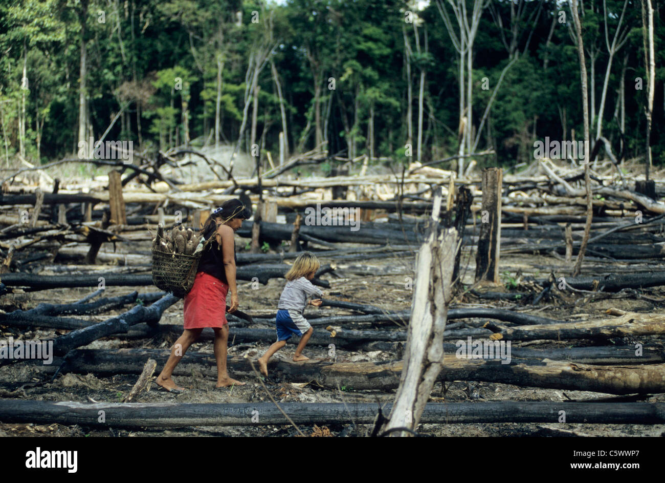 Il Brasile Amazon, Amazonas, bruciato e disboscato la foresta pluviale vicino al fiume Jurua, dei Kulina Indio Donna con bambino trasportare radici di manioca per il loro villaggio Foto Stock