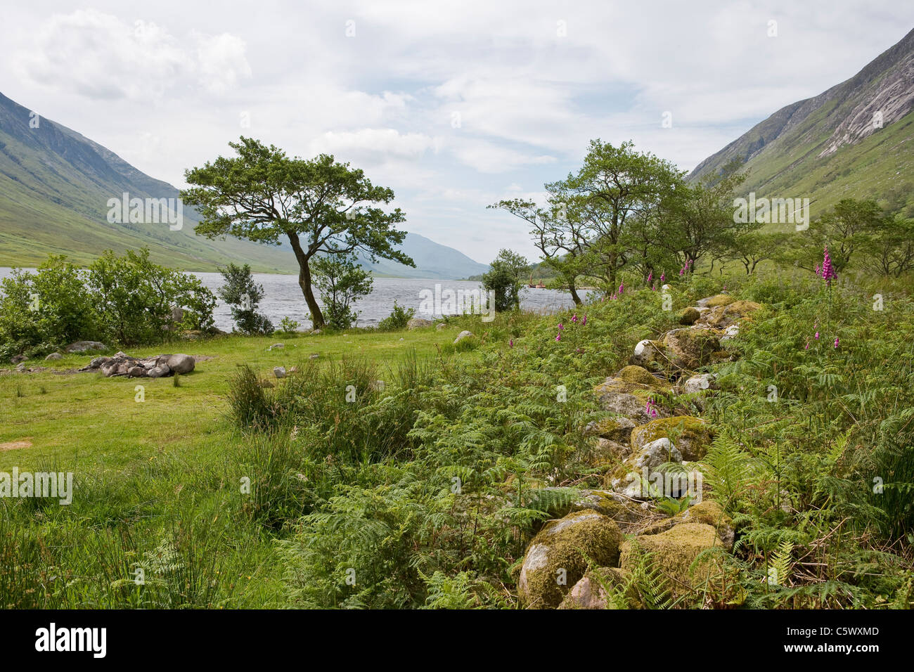 Alla fine della strada verso il basso Glen Etive cercando lungo il Loch Etive Foto Stock