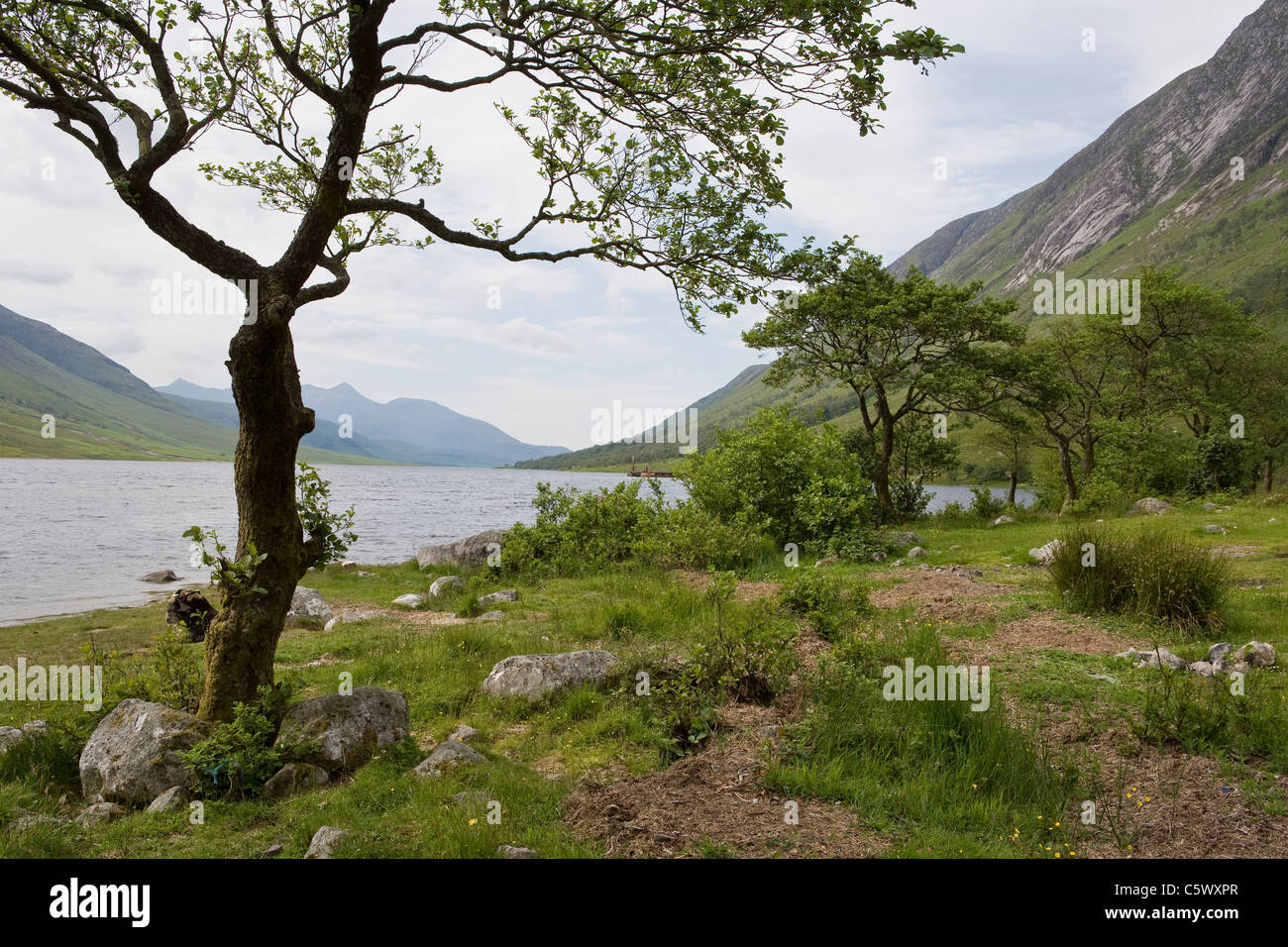 Alla fine della strada verso il basso Glen Etive cercando lungo il Loch Etive Foto Stock