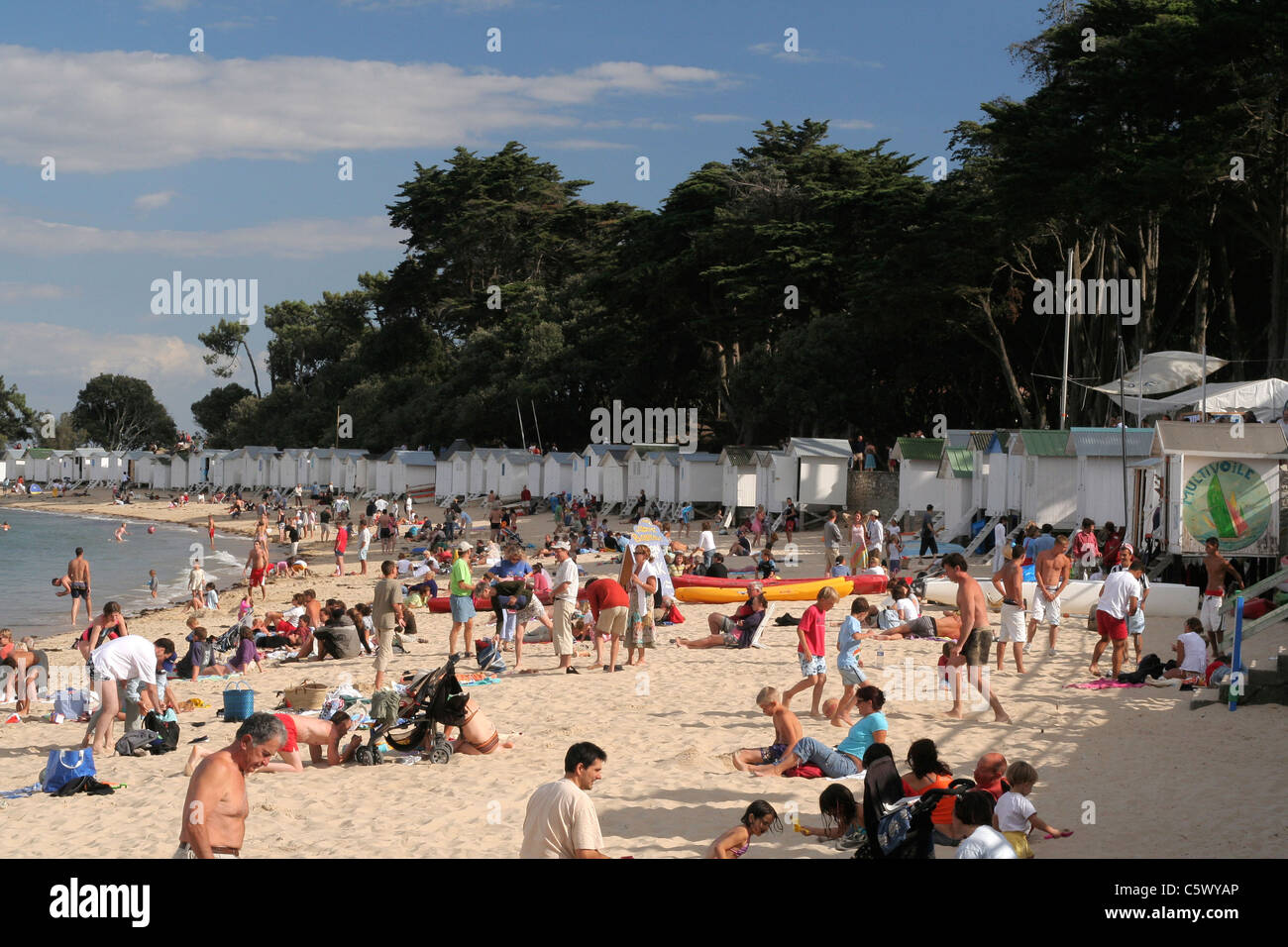 Spiaggia : Plage des Dames, Noirmoutier en l'Ile, della Vandea, Pays de la Loire, Francia Foto Stock