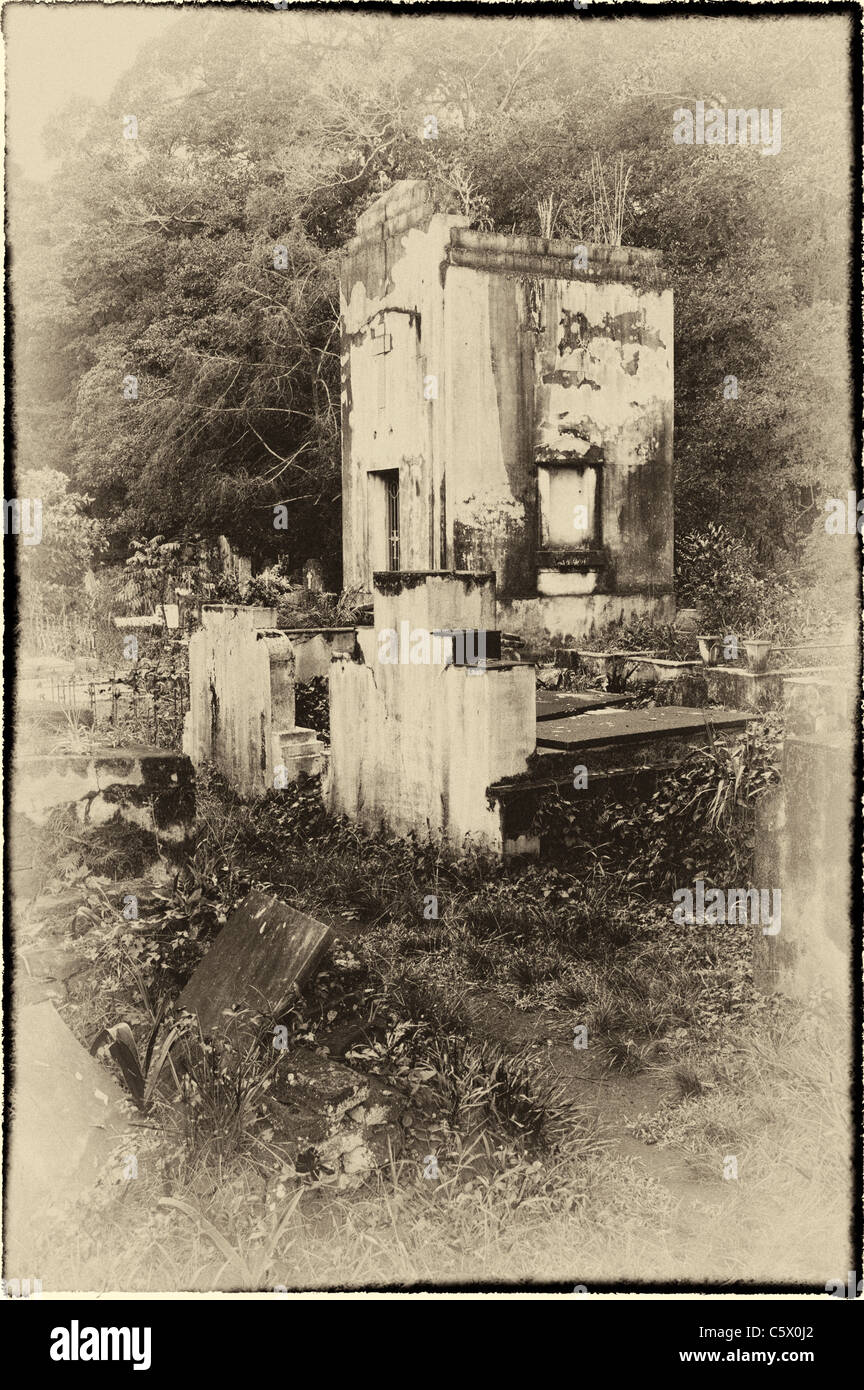 Riduzione dei gesuiti Santa Ana, cimitero, Provincia Misiones, Argentina Foto Stock